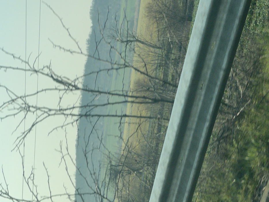 The image displays a rural landscape, presumably near Bratovo, Bulgaria, viewed from a slightly elevated position, possibly from a moving vehicle. In the immediate foreground, a grey, metallic guardrail runs diagonally from the lower left to the middle right of the frame. Below the guardrail, blurred green vegetation, likely grass and low bushes, is visible. The midground features several bare deciduous trees with visible, stark branches and twigs, suggesting late winter or early spring. These trees exhibit some motion blur. Beyond the trees, an expanse of fields appears, characterized by areas of green and yellowish-brown vegetation. In the background, a series of low hills, covered in dark green foliage or trees, stretches across the horizon under a pale, light blue to greenish-tinted sky. There are no individuals, specific actions, or direct interactions visible within the scene.