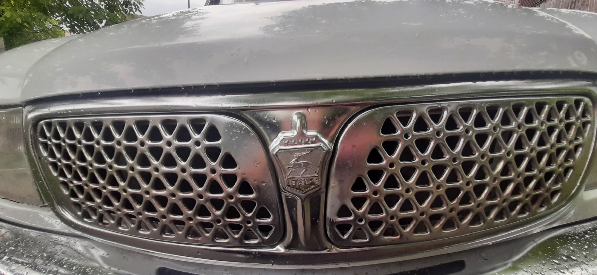 The image shows a close-up of the front grill of a silver car. The grill has a honeycomb-like pattern and a metallic emblem in the center featuring a leaping gazelle above a building. The car appears to be wet, with water droplets visible on the hood and grill, suggesting recent rain or dew. The background shows blurry green foliage and a hint of a wooden structure, possibly a fence or building, with a gray sky above. The scene is likely outdoors, given the natural elements. There are no people visible in the image. The car's license plate is not visible. The location is Yessentukskaya, Russia.