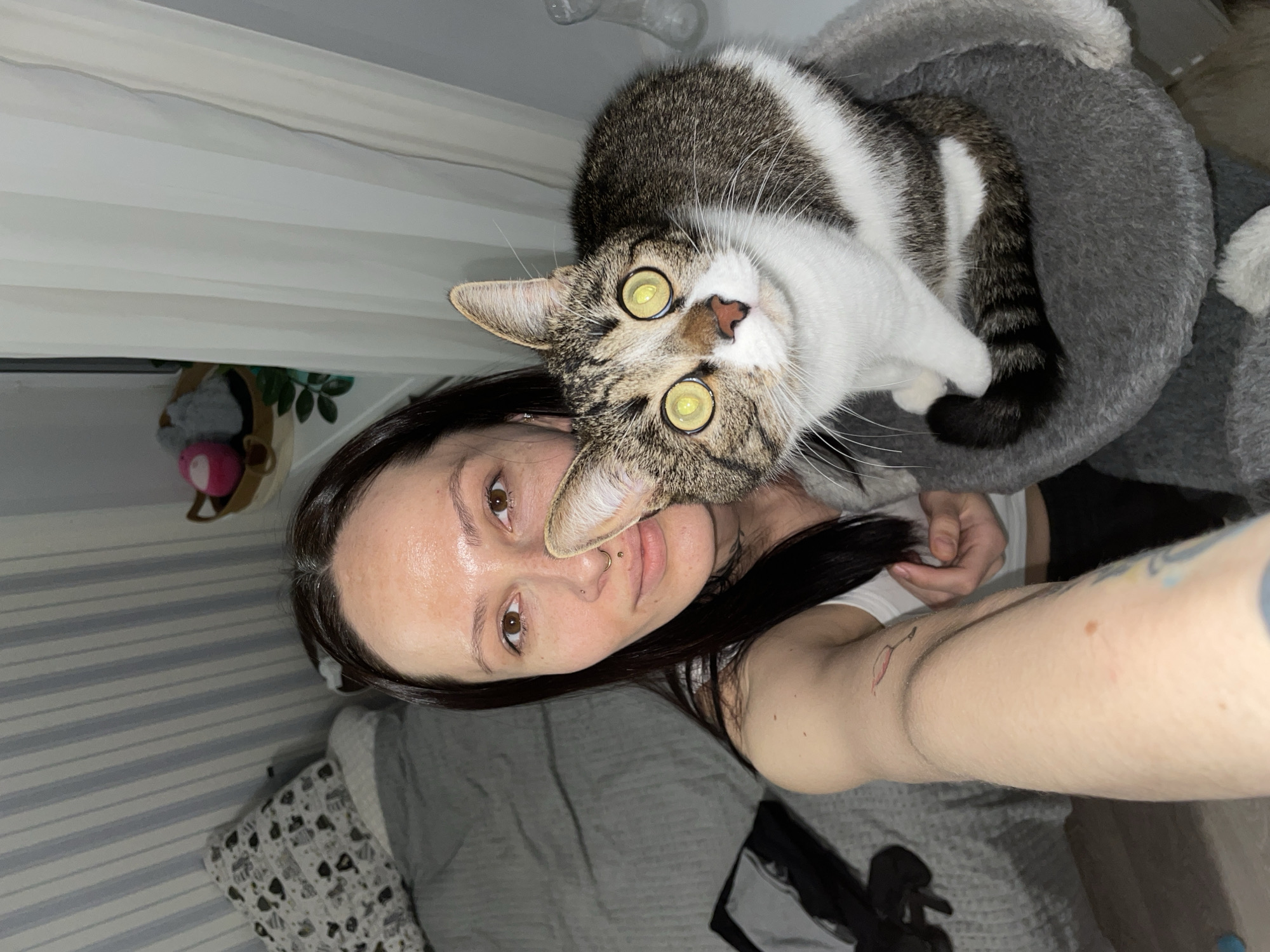 A woman is holding up her phone to take a selfie with a cat. The woman has long dark hair, light skin, and brown eyes. She is wearing a white tank top. Her right arm is visible, and it has a tattoo. The cat has white and brown fur and is sitting in a gray cat bed. The background is a bedroom with gray bedding and curtains. There is a window and a small toy basket visible in the background. This image does not contain information that would indicate it was taken in Izhevsk, Russia.