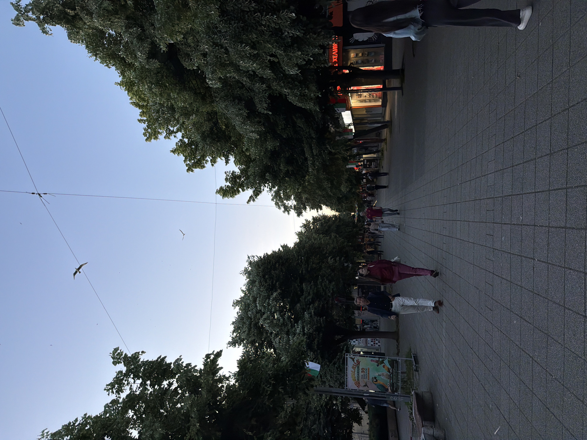 The image depicts a pedestrian street lined with trees and buildings, likely in the city of Burgas, Bulgaria. People are walking on the paved path. Birds fly in the sky, which is partially obscured by the trees. A poster featuring the text "Aquarium Burgas" is visible. The street appears well-lit, likely during daylight hours. The image is taken from a low angle, looking up towards the sky.