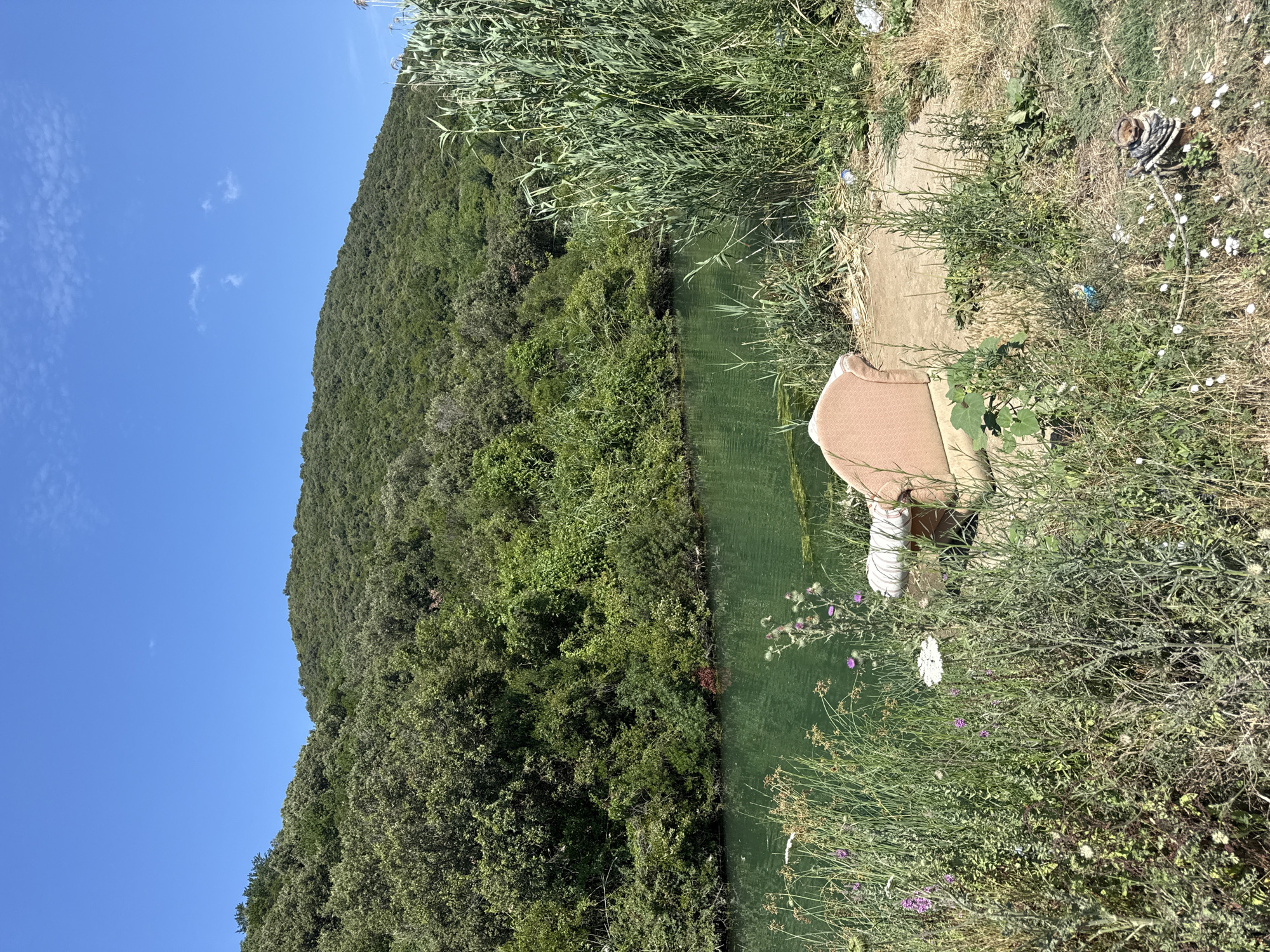 The image depicts a tranquil scene by a body of water, featuring a hill covered in dense green foliage in the background. In the foreground, a lone armchair, upholstered in a light pinkish-beige fabric, sits on a patch of earth next to a grassy area. Tall reeds and wild flowers flank the armchair and the water's edge, adding to the natural ambiance. The water itself is a rich emerald green, reflecting the surrounding vegetation and the clear blue sky above. The scene appears to be located in Prijevor, Montenegro.