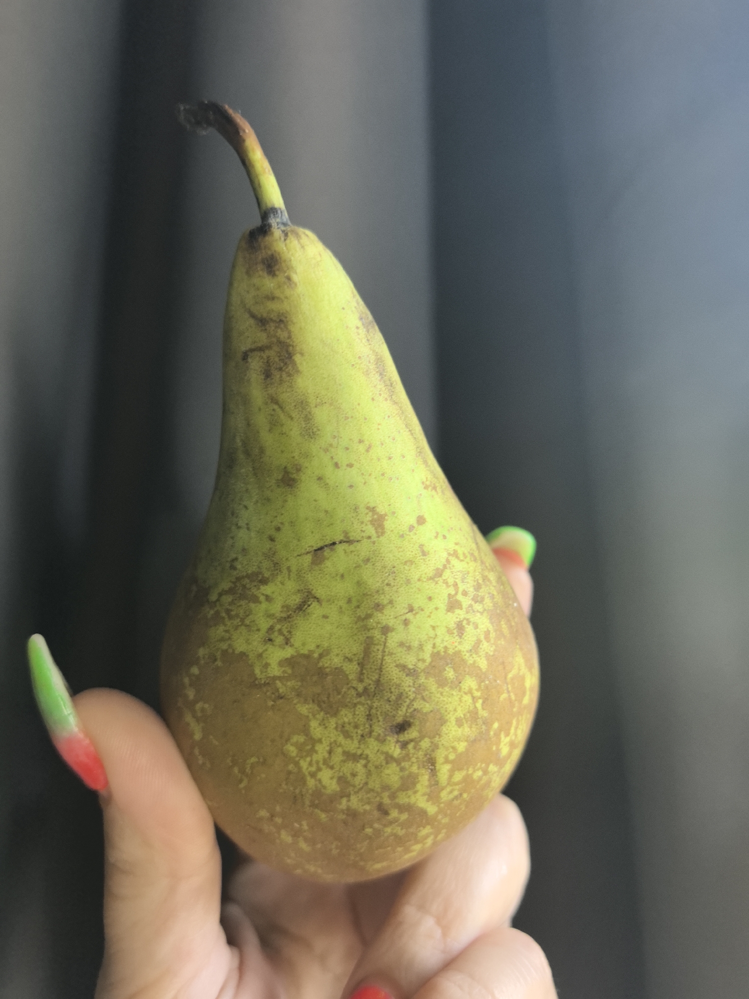 A hand with long, pointed nails painted with a gradient of red and green is holding a pear. The pear is mostly green with brown patches. The background is a dark gray, possibly a curtain or wall. The location in the city of Noviy, Russia, cannot be determined from the image.