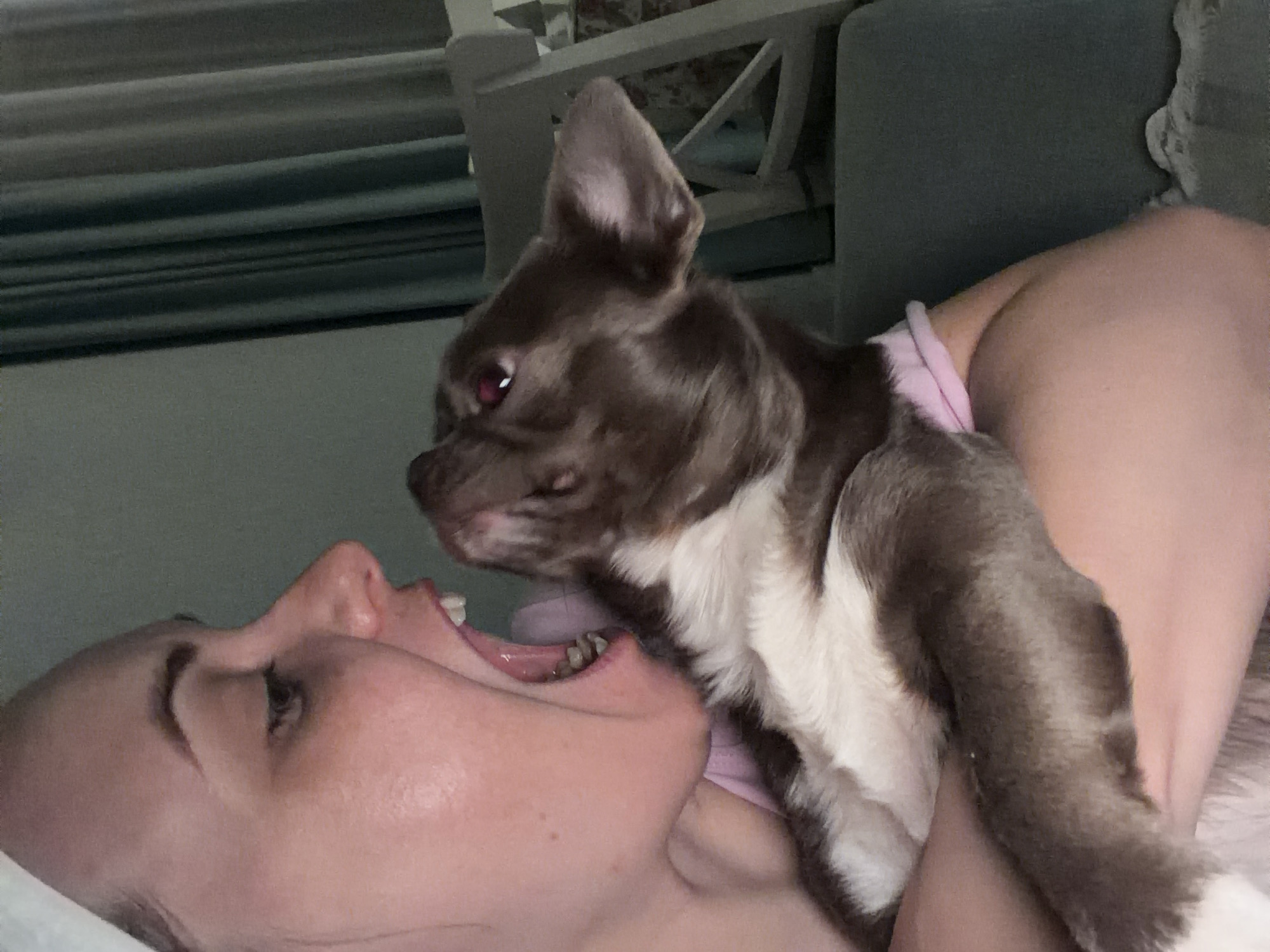 A person is lying down with their mouth open, and a small brown and white dog is positioned near their face. The background shows a room with furniture, including what appears to be a chair or headboard. There is a window visible with blinds. The exact location within Votkinsk, Russia cannot be determined from the image.