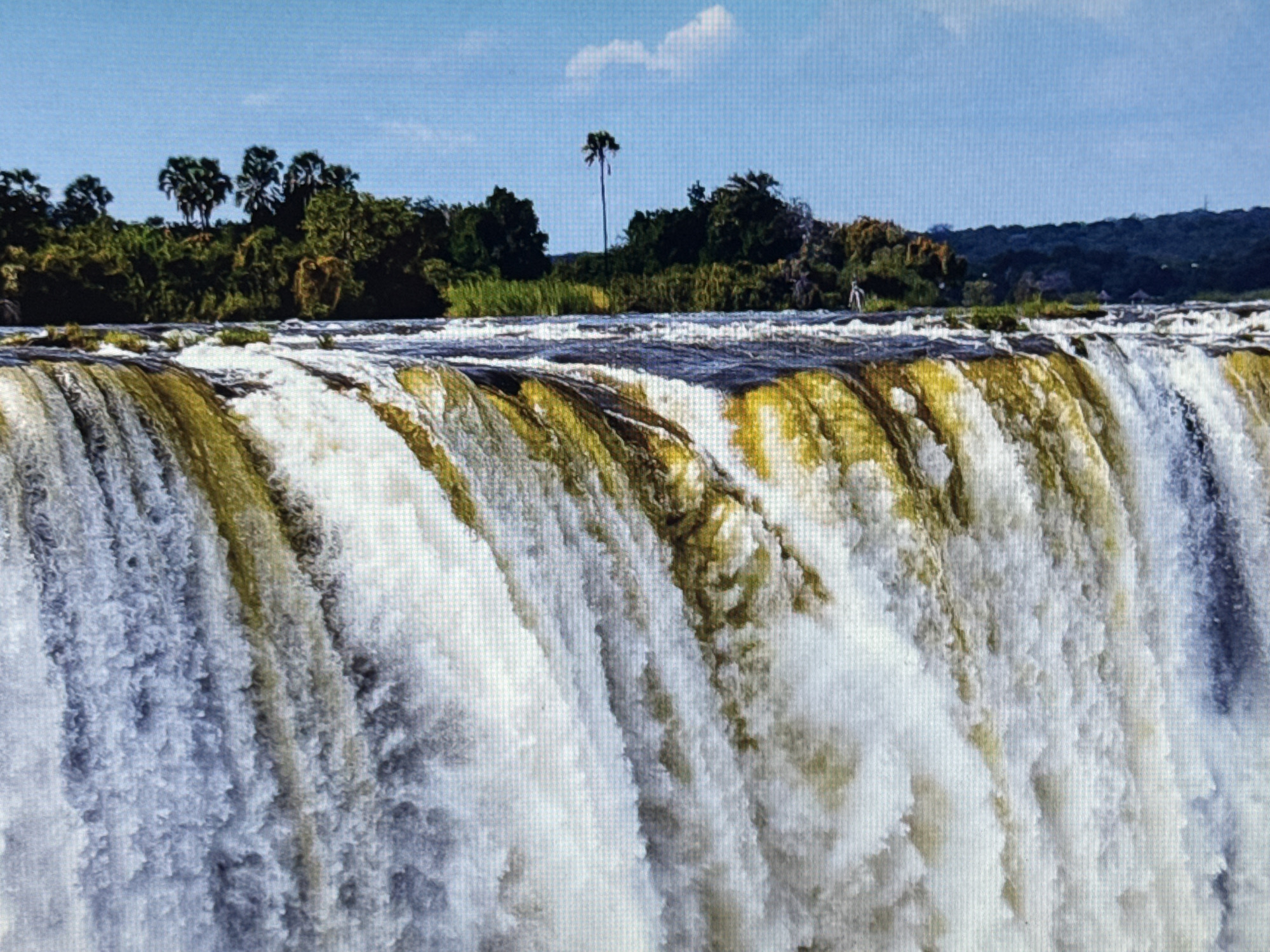 The image depicts a wide, powerful waterfall cascading over a rocky edge. The water is a frothy white as it plunges down, with streaks of yellowish-green indicating algae or mineral deposits on the rocks beneath the surface. The top edge of the waterfall is rough and irregular, with some areas of churning water visible before the main descent.
In the background, dense green foliage lines the top of the riverbank, with several palm-like trees scattered amongst the greenery. A single, tall, slender palm tree stands out against the sky to the right of center. The sky above is a clear, light blue with a few wispy white clouds. The overall impression is of a natural, untamed landscape. The lighting suggests it is daytime, with bright sunlight illuminating the scene. No people or man-made objects are clearly visible within the main frame of the waterfall, although a small, light-colored figure resembling a person can be seen standing on the distant riverbank on the right side of the image, near the treeline. There is no visible text in the image.
