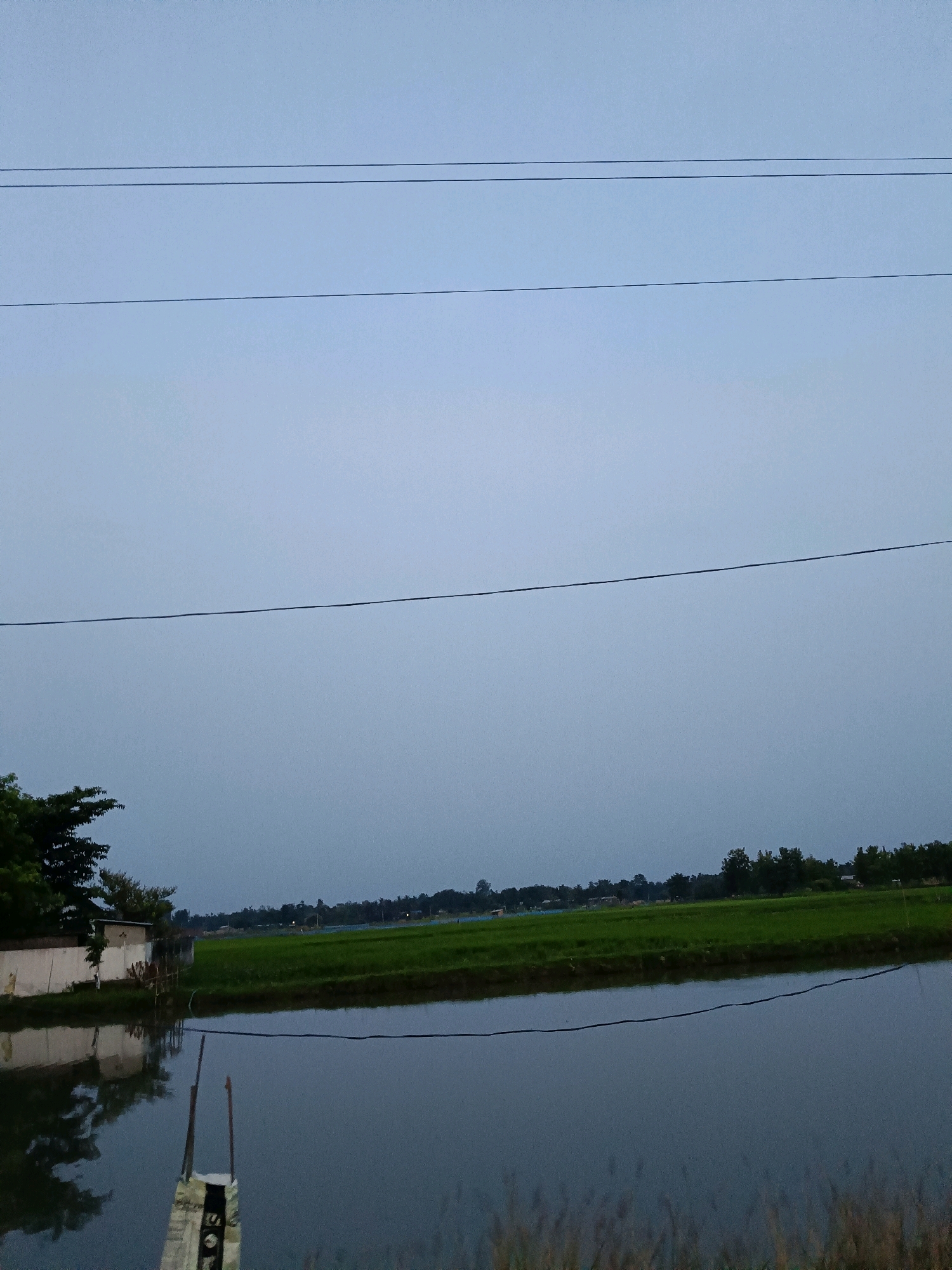 The image depicts a tranquil rural landscape, likely on the outskirts of Barpeta, India. The scene is dominated by a vast, serene body of water in the foreground, reflecting the overcast sky. Beyond the water, a lush green paddy field stretches towards the horizon, dotted with scattered trees and small structures, indicative of a village setting. The sky is a muted blue-gray, suggesting either early morning or late evening. Power lines stretch horizontally across the frame, breaking the natural expanse. A small building with a white wall and a brown roof is visible on the left, partially obscured by dense foliage. The overall atmosphere is one of quietude and natural beauty.