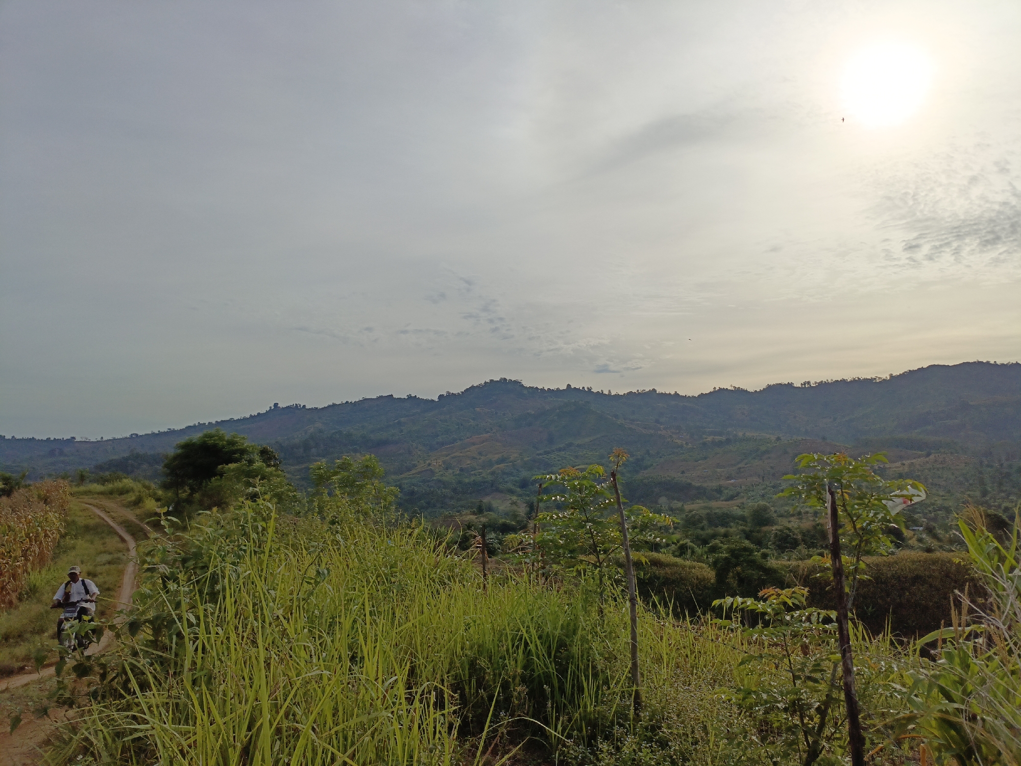 A man on a motorcycle travels along a dirt path through a rural landscape in Unknown, Indonesia. The path curves to the left and leads uphill. Tall green grass and some crops, possibly corn, line the path. In the background, rolling hills covered in vegetation and trees stretch towards the horizon under a hazy sky with the sun prominently visible in the upper right corner. The sun is partially obscured by clouds, creating a bright glow. The overall scene depicts a tranquil, natural environment.