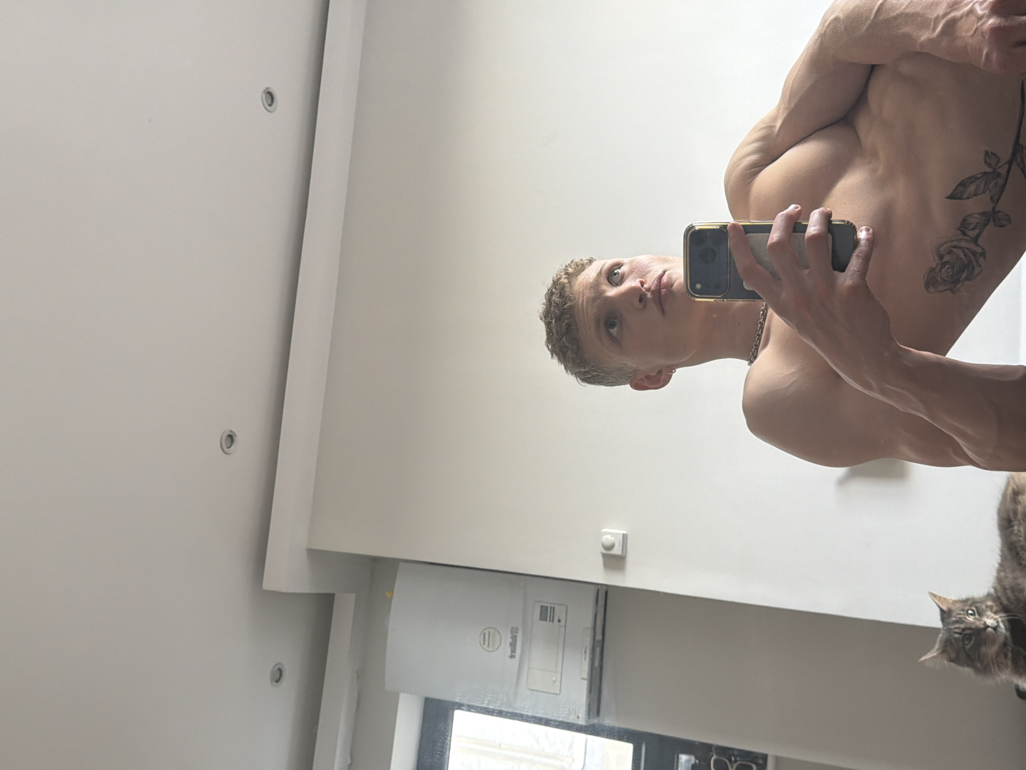 The image shows a person in what appears to be a bathroom in London, United Kingdom. The individual, likely male, is taking a selfie in a mirror, showing their upper torso with a tattoo of a rose. He is holding a mobile phone, with the case clearly visible. The background indicates a plain interior, with a radiator on the wall and a window behind it. A cat is visible to the bottom right corner of the mirror. The location is identifiable as London based on the window frame style and radiator common in the city.