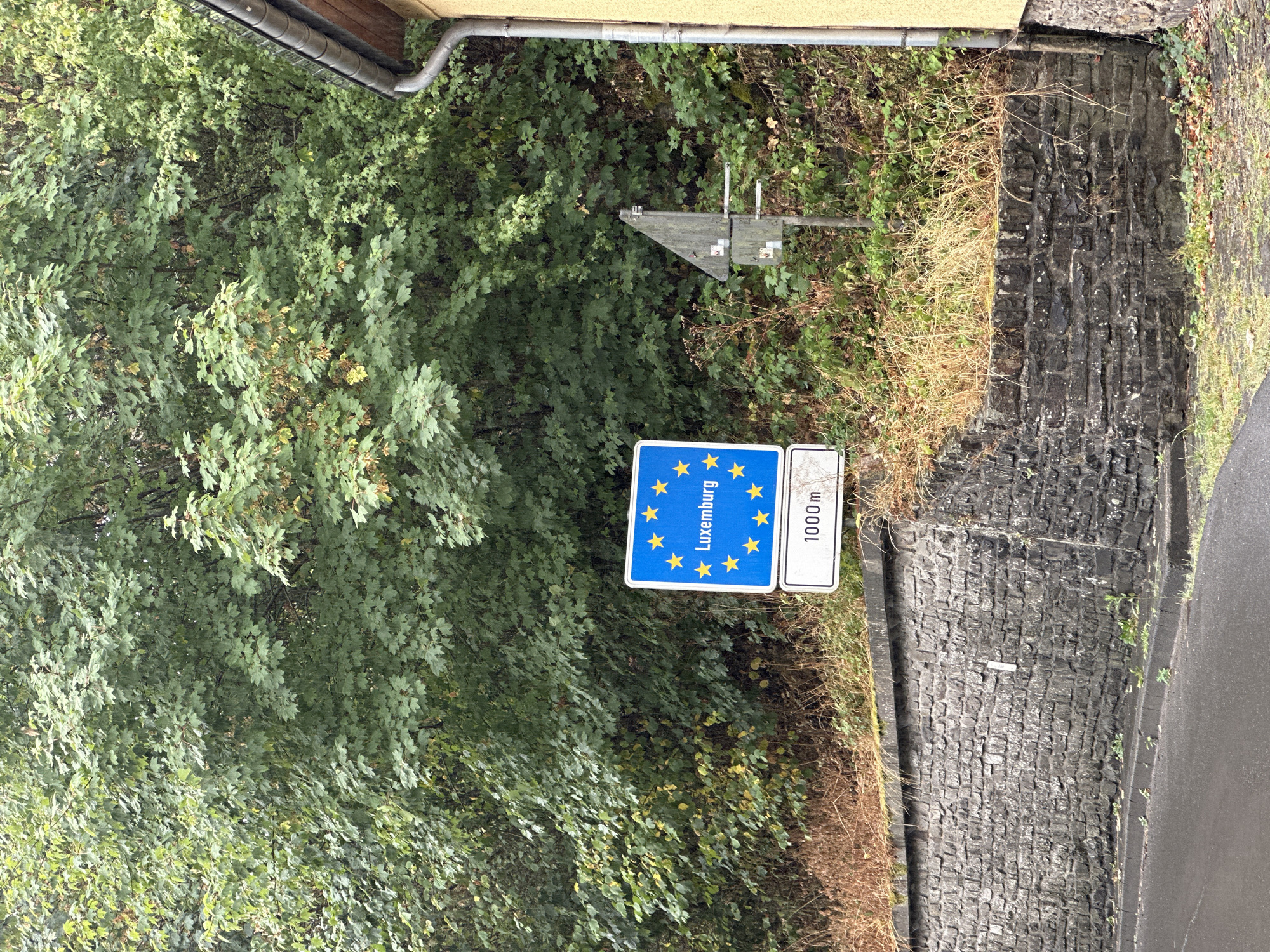 The image shows a street scene in Dasburg, Germany, featuring a blue European Union sign indicating "Luxemburg" with stars, and a smaller white sign below it displaying "1000 m." The signs are positioned next to a stone retaining wall and a dense green tree line. A portion of a yellow building with a grey downspout is visible on the right side of the image. The road in the foreground is wet and appears to be paved. There are no people visible in the frame. The environment is natural, with overgrown vegetation and foliage.