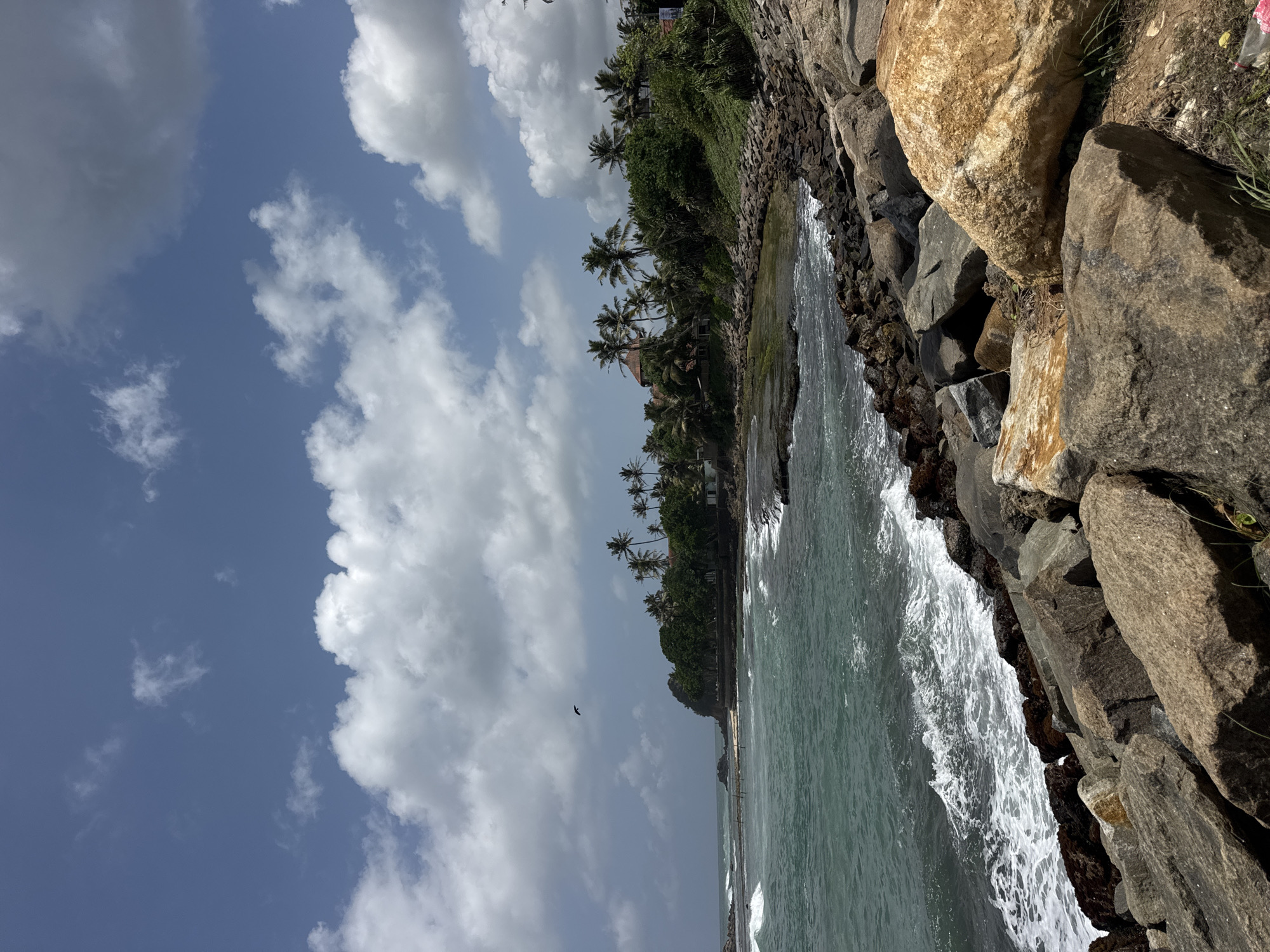 A rocky coastline in Goviyapana, Sri Lanka, features a body of water with white-capped waves crashing against the shore. The water is a deep teal color, and the sky is a bright blue with scattered white clouds. Palm trees and lush green foliage line the shore, with several buildings visible amidst the trees. A lone bird is captured in flight in the sky. In the foreground, large, rough-hewn rocks of various sizes and colors, ranging from gray to tan, are piled along the edge of the water.