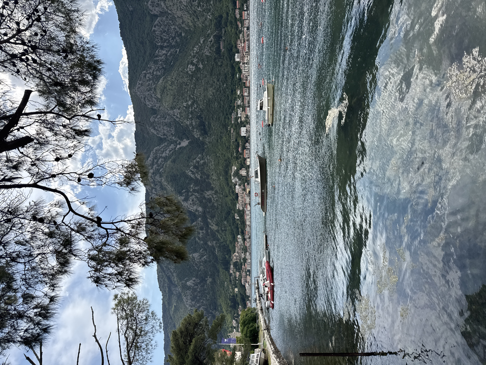 The image depicts a waterfront scene in Dobrota, Montenegro, with a body of water (likely the Bay of Kotor) taking up the right portion of the frame. Boats are moored along the shoreline. The water's surface shows reflections of the sky and surrounding landscape.
On the left side, a tree with dark branches frames the view. A mountain range rises in the background, with buildings and houses visible along its base and hillside, indicating a populated area. The sky above is partially covered with clouds.