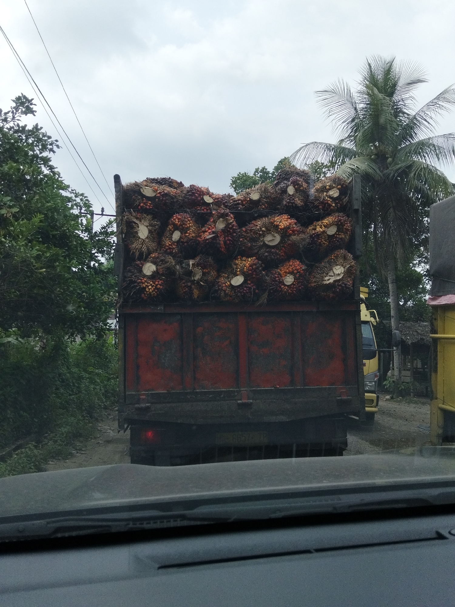 An aged, red truck is heavily laden with freshly harvested palm fruit bunches. The fruit bunches are a mix of orange and dark red hues and are stacked high in the truck bed, some appearing to have been cut from the trees recently, with visible white cross-sections. The truck is situated on a dirt road, with lush green foliage lining the sides of the road. In the background, a tall palm tree with its fronds spread wide reaches towards an overcast sky. A yellow truck is partially visible to the right of the red truck. The scene appears to be a rural setting in Awegeutahpaya, Indonesia, likely a collection point or a road leading to a processing facility. The perspective is from inside another vehicle, with the dashboard and windshield visible in the foreground.