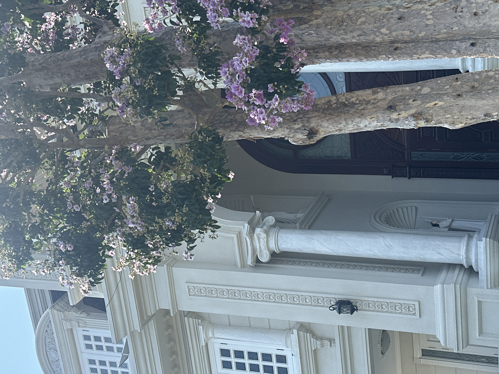 A building's facade is partially obscured by a tree with purple flowers in Nam Nha Trang Ward, Vietnam. The building is white with ornate architectural details, including columns, decorative trim, and window frames with multiple panes. A black light fixture is attached to the wall. The tree's branches extend across the top portion of the building, with clusters of purple flowers and green leaves. A dark-colored door with intricate glass panels is visible behind the tree branches. The sky is light blue.