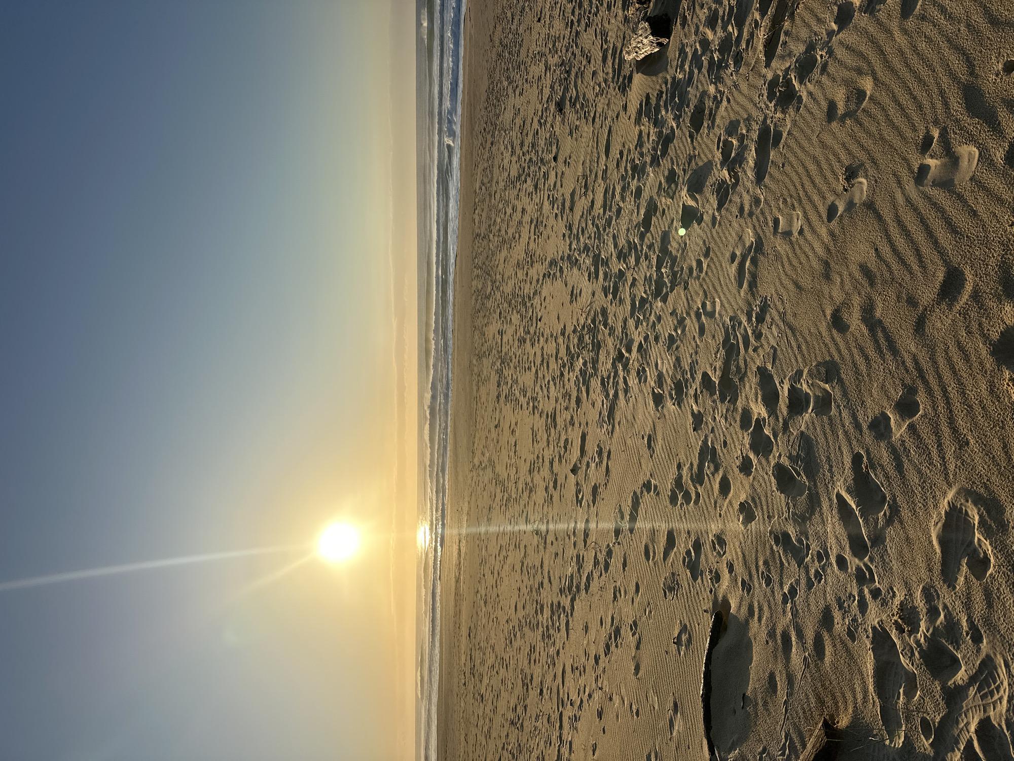 This is a low-angle, landscape, outdoor, medium shot of a beach at sunrise. The sun is low in the sky, casting a warm glow across the scene. The sand in the foreground is imprinted with numerous footprints, some of which are partially obscured by a piece of driftwood on the left side of the frame and a larger, weathered piece of wood on the right. The ocean stretches to the horizon, with gentle waves breaking on the shore. The sky is clear and transitions from a pale yellow near the horizon to a soft blue overhead. The location is Mylestom, Australia.