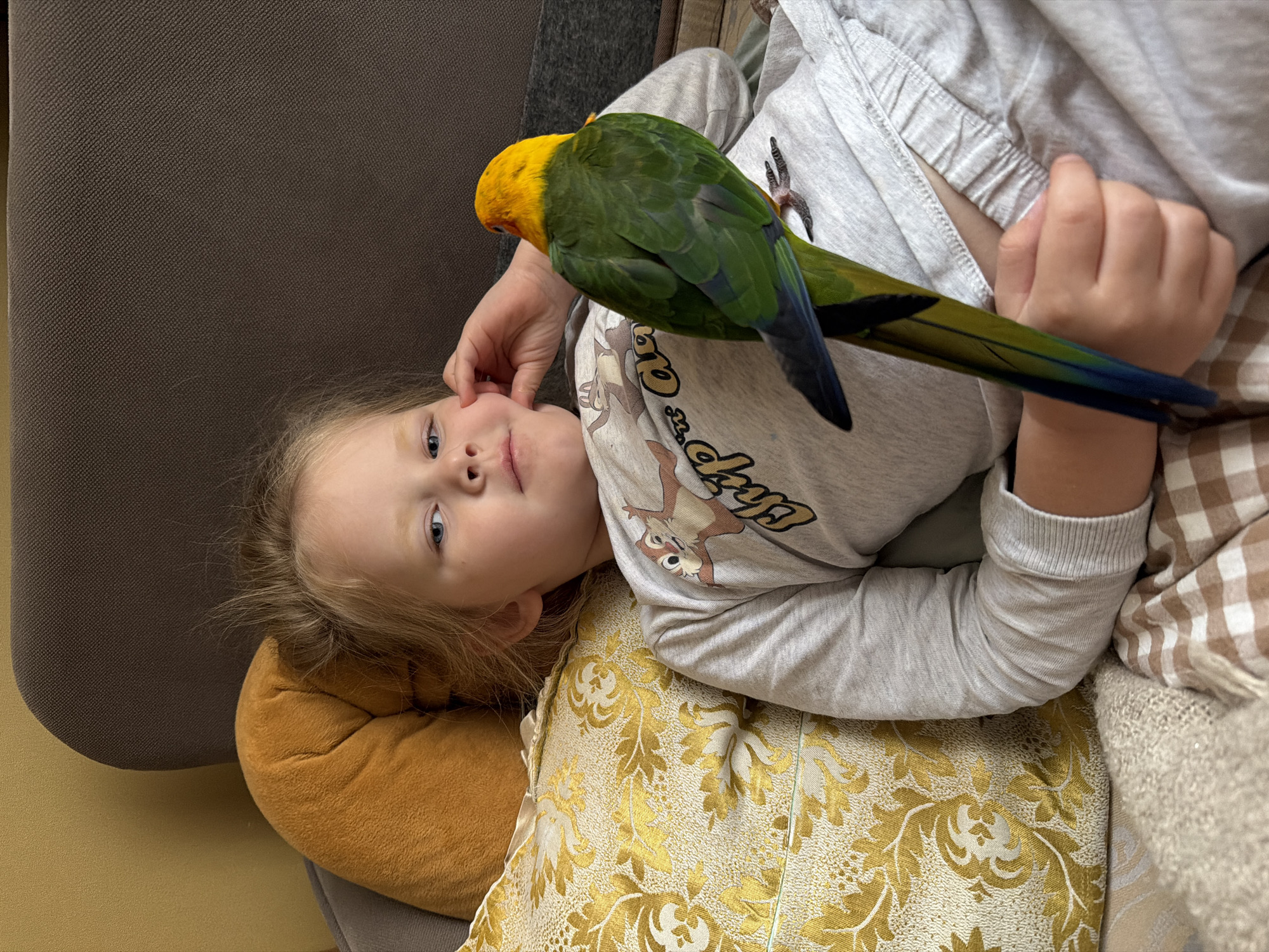 A young girl with blonde hair and blue eyes is lying on her back on a couch or bed. She is wearing a grey long-sleeved shirt with a cartoon character on it. A parrot with a yellow head, green body, and blue tail is perched on her chest and arm. She is touching her face with her right hand. She is lying on a yellow floral pillow. The location cannot be determined from the image and therefore the location of Khimki, Russia cannot be confirmed.