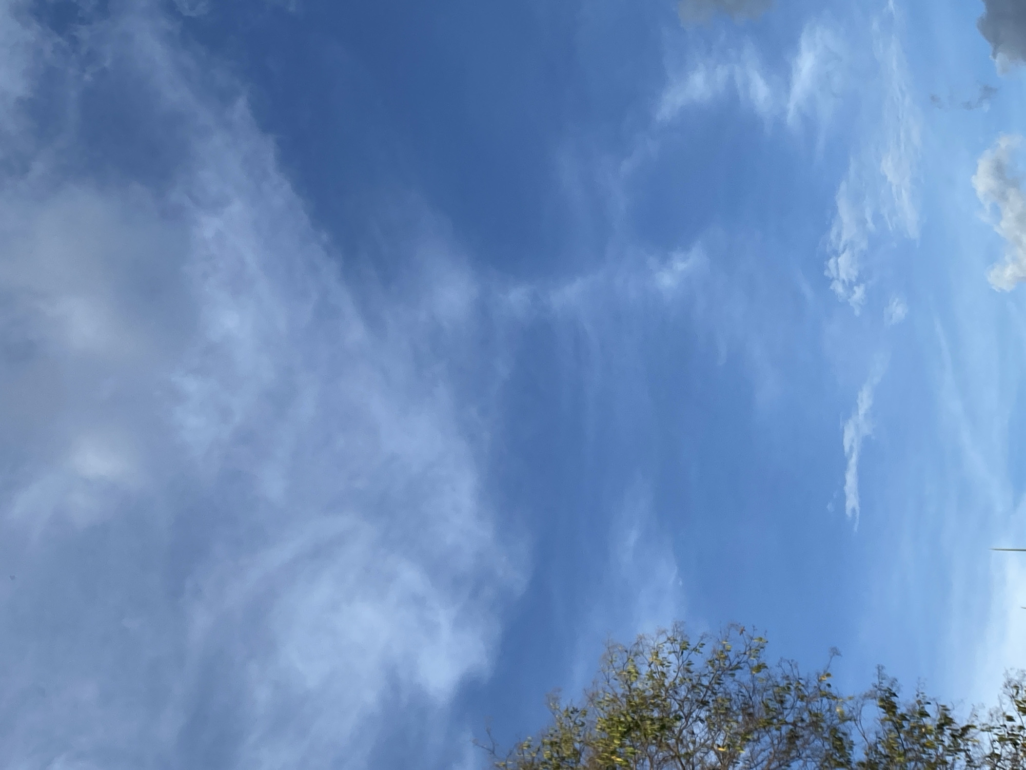 The image shows a daytime view of a blue sky with cirrus clouds. Some treetops are visible in the lower portion of the frame. The photo was taken in Tinaquillo, Venezuela. There are no people visible.