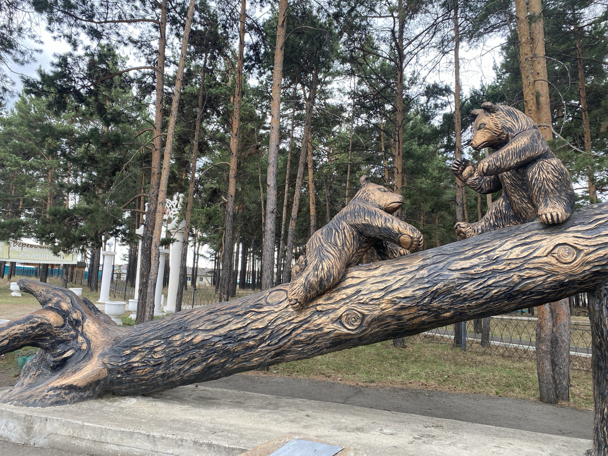 This photograph shows a sculpture of a fallen tree with two bears on it, located in what appears to be a park in Sosnovka, Russia. The sculpture is made of a dark material, possibly painted wood or metal, with details carved to resemble tree bark and bear fur. One bear is sitting upright, gesturing with its paws, while the other is lying on the log. In the background, there is a pine forest and some white pillars.