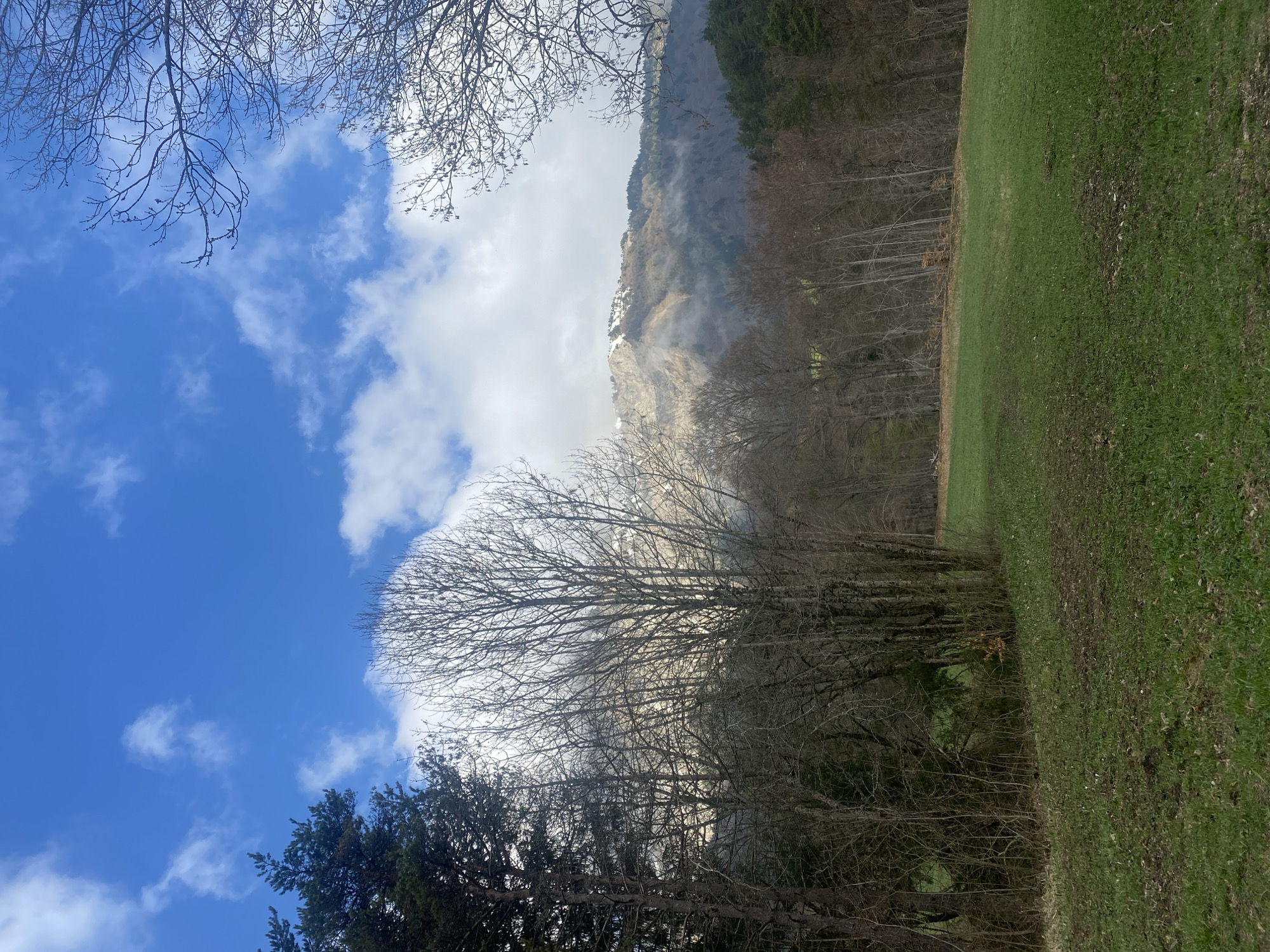 The image depicts a landscape scene in Gresse-en-Vercors, France. The sky is blue with scattered white clouds, visible through bare tree branches in the upper left and lower left of the frame. A mountain partially obscured by clouds dominates the center of the image. A grassy field is visible on the right side, bordering a wooded area with mostly bare trees. The lighting suggests a daytime setting. No people or specific actions are visible.