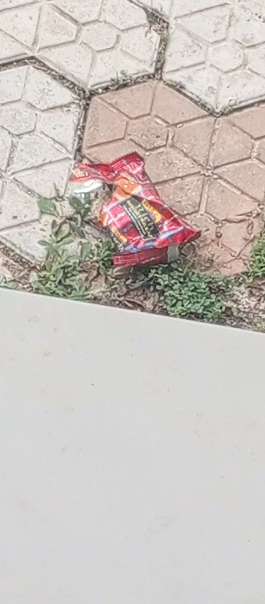 A crumpled red and orange chip bag lies on the ground near some greenery and a sidewalk made of interlocking concrete pavers. The bag appears to be the primary subject of the image, with some text visible on its surface. The surrounding environment suggests an outdoor urban setting. The image does not provide specific details about the city of Kuson, Nigeria, or any identifiable landmarks.