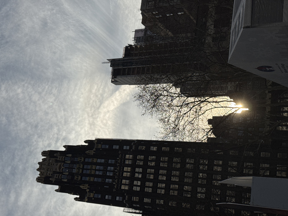 A low-angle shot of skyscrapers against a cloudy sky. One building, dark and ornate, fills the lower portion of the frame. A second, taller structure under construction is partially obscured by bare tree branches. Sunlight flares through the branches. A portion of a truck and a large box are visible.