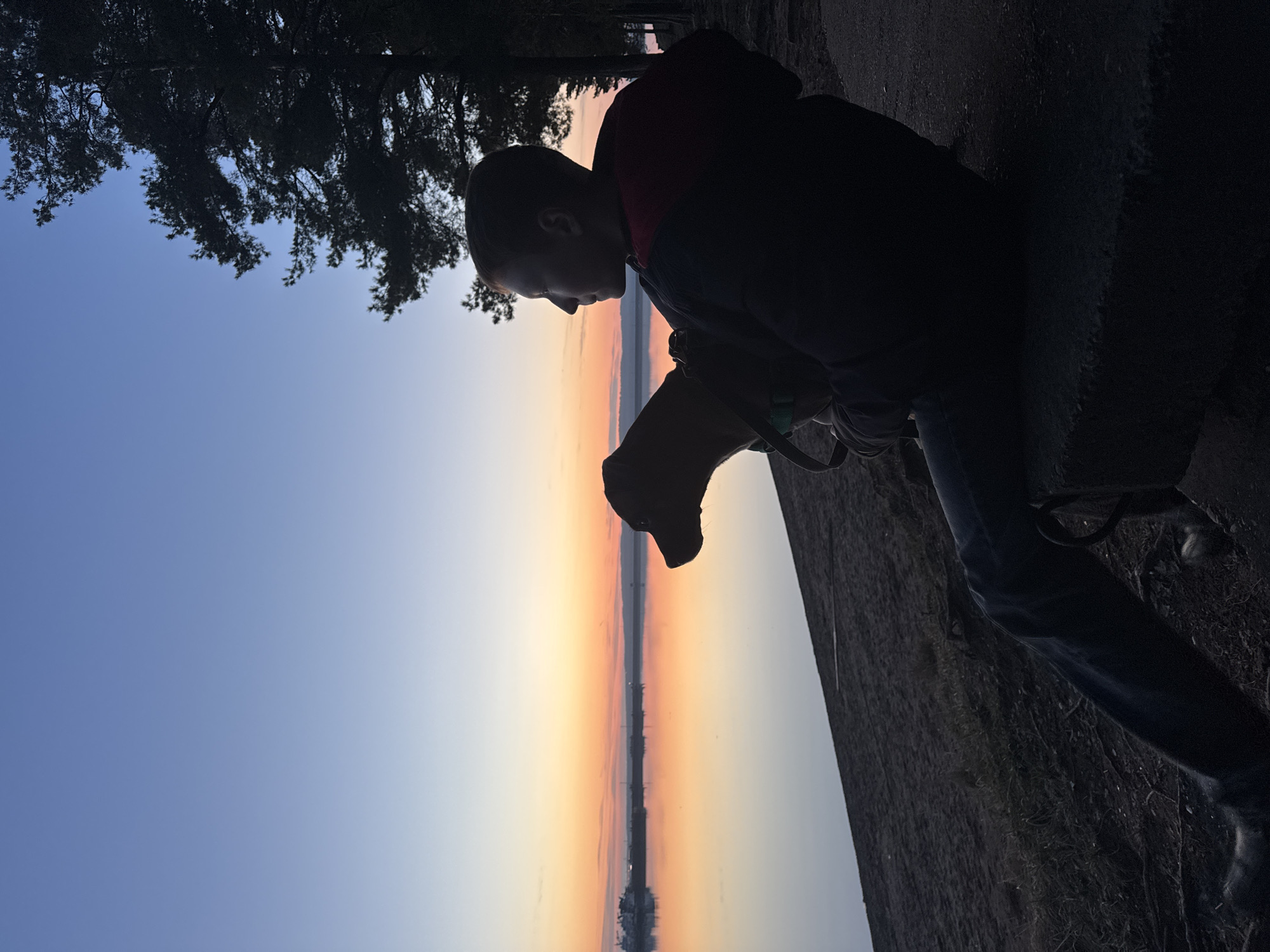 The image captures a serene outdoor scene at either sunrise or sunset in Chaikovsky, Russia. A person and a dog are silhouetted against a breathtaking sky, standing by a calm body of water.
The main subject, a person who appears to be young (possibly a child or teenager), is positioned on the right side of the frame. They are leaning forward and looking down, possibly at the dog or the reflective water. The person is wearing a jacket, with a hint of red color on the upper part, and jeans, though most details are obscured by the strong backlighting. Directly in front of the person, a dog is also in silhouette, with its head down, possibly wearing a harness or collar. Both figures are on a dark, textured ground or embankment that slopes gently towards the water's edge.
The scene is dominated by a vibrant horizon line stretching across the middle of the frame. This band of sky displays warm colors transitioning from orange and pink near the water to a soft yellow, which is beautifully reflected on the glassy surface of the water below. Above this colorful strip, the sky fades from a light blue near the horizon to a deeper blue towards the top left. Silhouetted trees with dense foliage are visible in the top left corner, suggesting a forested or natural shoreline.
The time of day is clearly sunrise or sunset, indicated by the rich colors of the sky and the silhouetted subjects. The weather appears clear and calm, with no visible clouds and still water. The location cues point to a large body of water, likely a lake or river, consistent with the specified context of Chaikovsky, Russia (e.g., Kama Reservoir). The overall mood is peaceful and contemplative due to the dramatic backlighting and natural beauty. No text is visible in the image.