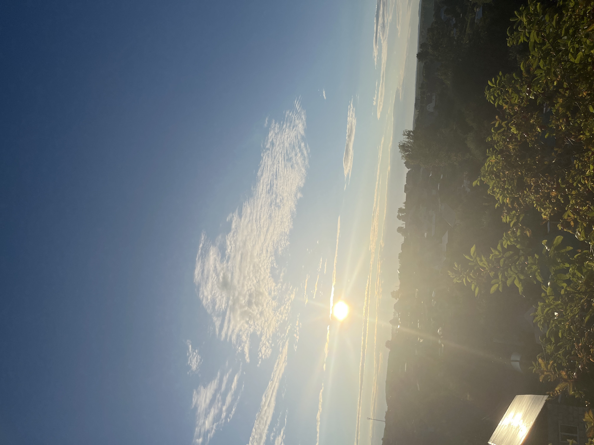 The image captures a sun-drenched vista overlooking a village, likely Olkhovka, Russia, during what appears to be early morning or late afternoon. The sun, a brilliant orb, is positioned in the upper left quadrant of the frame, casting long rays and lens flare across the scene. Wispy white clouds dot the clear blue sky. Below the sky, a hazy panorama of a rural settlement unfolds, characterized by numerous houses with visible rooftops, interspersed with dense green foliage and trees. In the foreground, lush green branches with leaves and some dark berries are prominent, framing the view. To the far left, a structure with a corrugated roof, possibly a greenhouse or shed, reflects the sunlight. The overall impression is one of tranquil, rural beauty bathed in warm, natural light.
