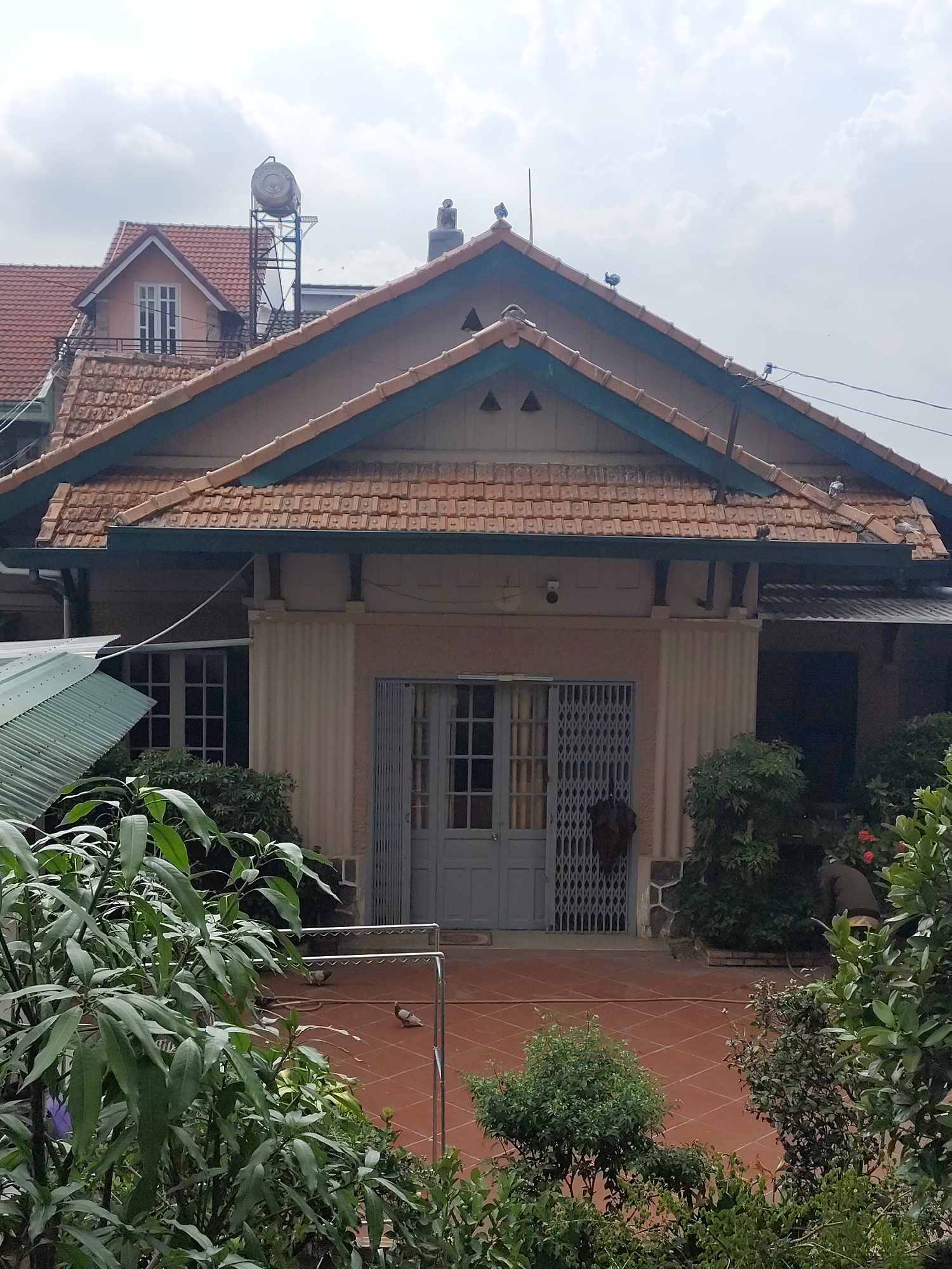 The image depicts a house in Da Lat, Vietnam. The house has a reddish-brown tile roof with a teal trim. The facade is light beige with symmetrical details, including columns and a set of double doors secured by a metal security gate. A red tile patio extends from the front of the house, dotted with patches of greenery. Several pigeons are present on the ground and on the roof. Lush green foliage surrounds the patio, partially obscuring the view of the house. A second building with a dormer window and a water tank is visible in the background behind the main house. The sky is overcast. There is a clothes drying rack to the left of the plants and bushes. A person is partially obscured by bushes and plants.