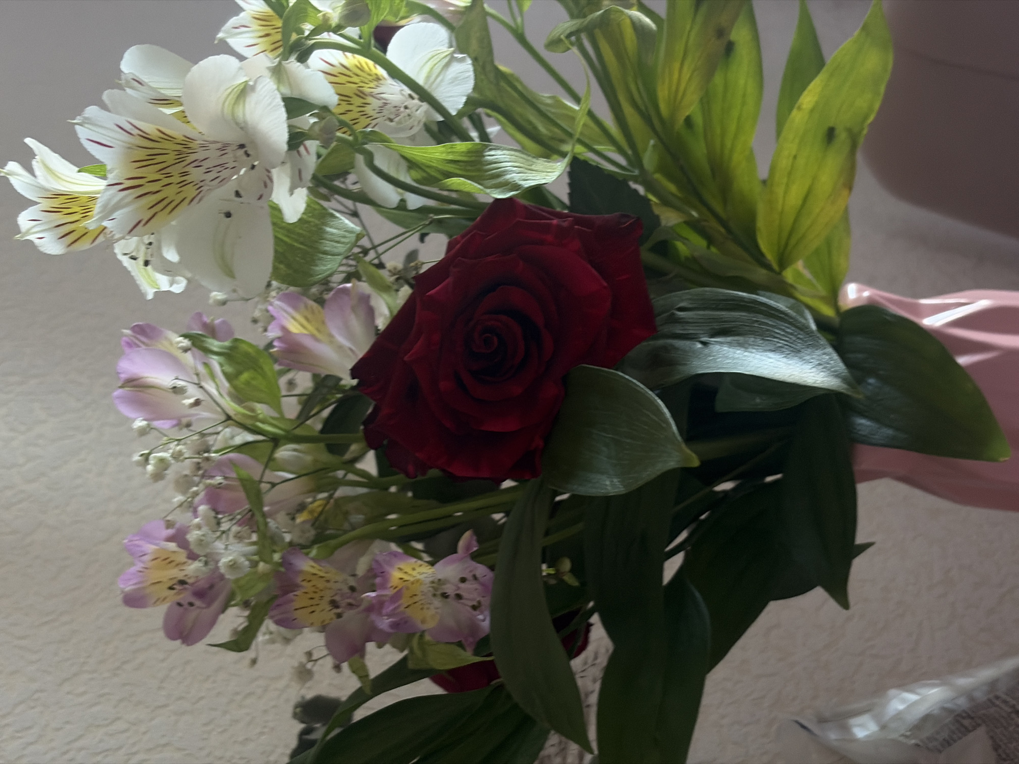 A close-up photograph shows a bouquet of flowers. The bouquet includes a single dark red rose at the center, surrounded by white Alstroemeria flowers with striped yellow and brown markings, light purple Alstroemeria, sprigs of white Gypsophila, and green leaves. The bouquet is held in a pink-colored vase or container. The background is a blurred, neutral tone, possibly a wall or other surface. The location in the city of Saint Petersburg, Russia is not able to be determined.