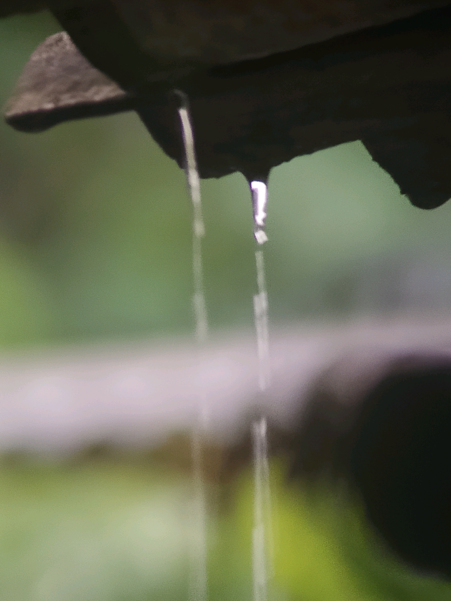 The image shows a close-up, shallow depth of field shot of water dripping from a dark, textured surface, possibly a gutter or overhang. The water forms thin, translucent streams that refract light, particularly a bright point on the right-hand drip. The background is a soft, out-of-focus blur of green and light purple, suggesting an outdoor environment with vegetation. The lighting is diffused, and the overall tone is muted. There are no people or specific urban landmarks visible that would indicate a location in Jember, Indonesia.
