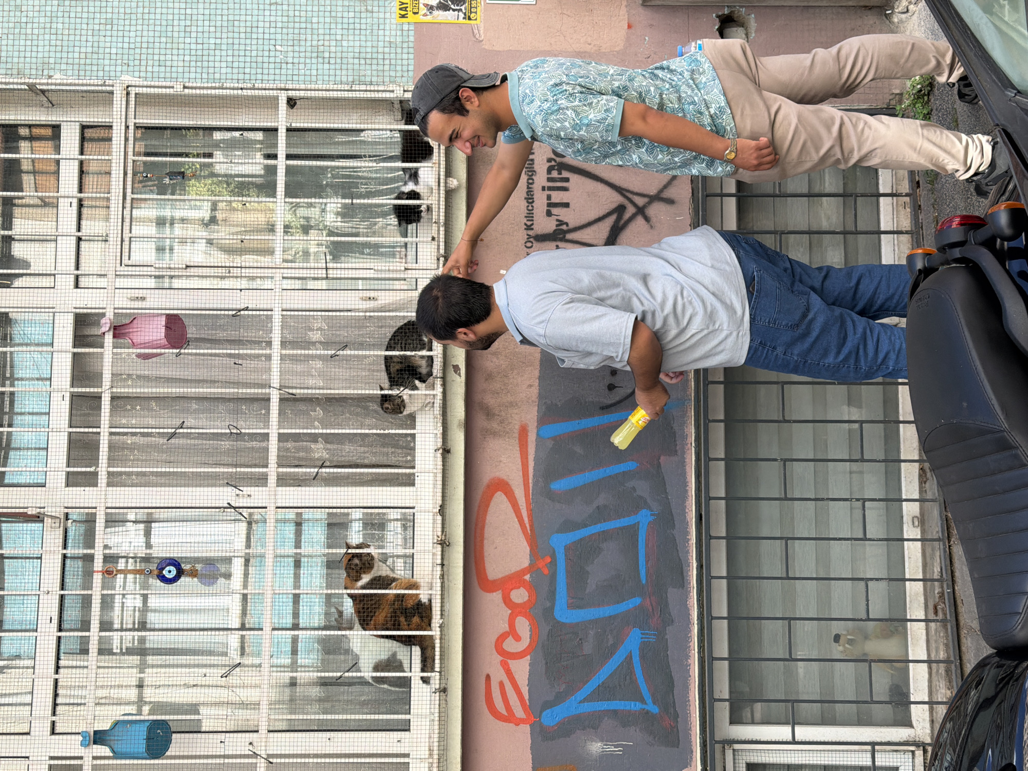 Two men are standing on a street in Kadıköy, Turkey, looking at cats in a window. The man on the left is wearing a grey t-shirt and blue jeans. The man on the right is wearing a green patterned t-shirt, khaki pants, and a grey baseball cap. He is pointing at something in the window. The window is barred and contains three cats. There is graffiti on the wall below the window. A motorcycle is parked in front of the building.