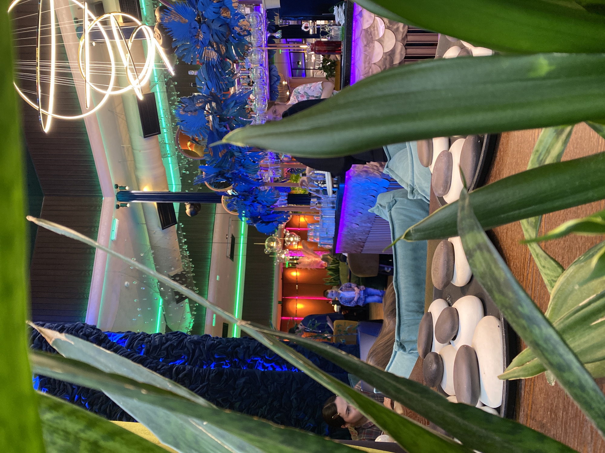 The photograph captures an interior scene within a bar or restaurant, likely located in Yekaterinburg, Russia. The space features a multi-level bar area with blue decorative elements reminiscent of aquatic life or stylized flora. Illumination is provided by neon lighting, including green vertical stripes, blue underlighting at the bar, and a modern, circular, neon chandelier.
The foreground is dominated by a potted snake plant. The viewpoint is partially obscured by the plant's leaves. Behind the plant, a decorative arrangement of white and grey stones on a dark surface is visible.
People can be seen in the background at the bar. A patron in a floral shirt stands near the counter, while others are seated or standing further into the space. The presence of numerous glasses on the bar suggests its active use. Furnishings include a blue velvet sofa in the bottom of the frame.