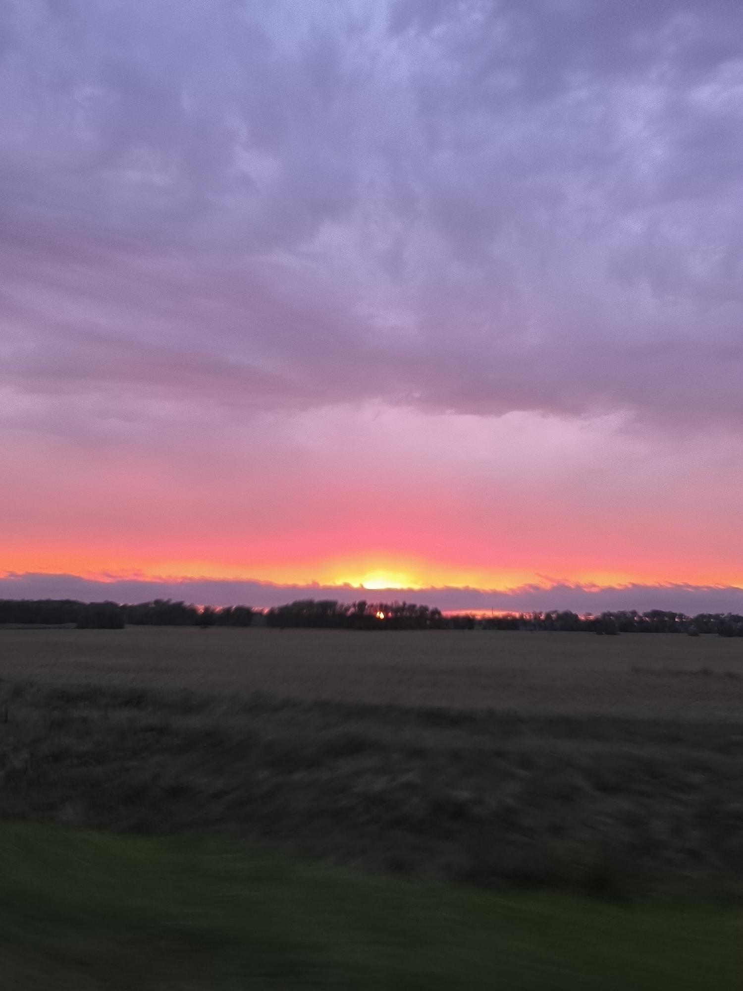 A photograph captures a vibrant sunset over a rural landscape. The sky is a gradient of colors, transitioning from deep purple and pink hues at the top to bright orange and red near the horizon. Clouds are scattered throughout the sky, adding texture and depth.
Below the sky, a thin line of trees forms a dark silhouette against the colorful horizon. The land in the foreground appears to be a field, with areas of dark green and brown, suggesting a mix of grass and tilled soil. The image seems to have been taken from a moving vehicle, as indicated by the slight blur in the foreground.
This scene is located in the vicinity of Krasny Yar, Russia. Krasny Yar is a rural settlement, known for its natural landscapes. The image depicts a typical sunset scene in such an environment, characterized by open fields, scattered vegetation, and a vast sky. There are no people or specific man-made structures clearly visible in this particular frame, emphasizing the natural beauty of the setting.