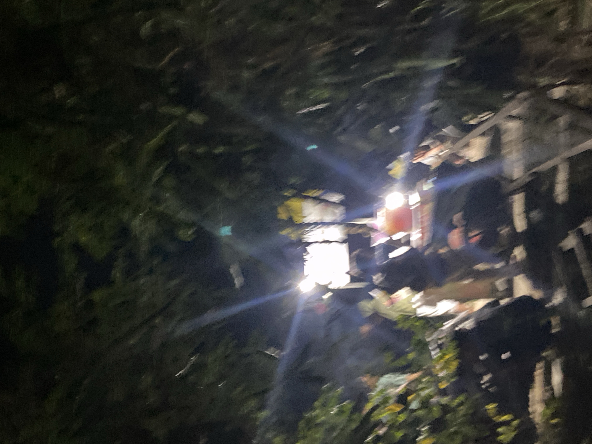The image depicts a blurry outdoor scene at night, likely a marketplace or street food vendor, with a bright light source illuminating the area. Several individuals are present, some appearing to be customers and others potentially vendors. The environment is densely covered with dark foliage, suggesting a location with significant vegetation, possibly trees or large bushes. The overall impression is one of a lively, albeit dimly lit, gathering.
