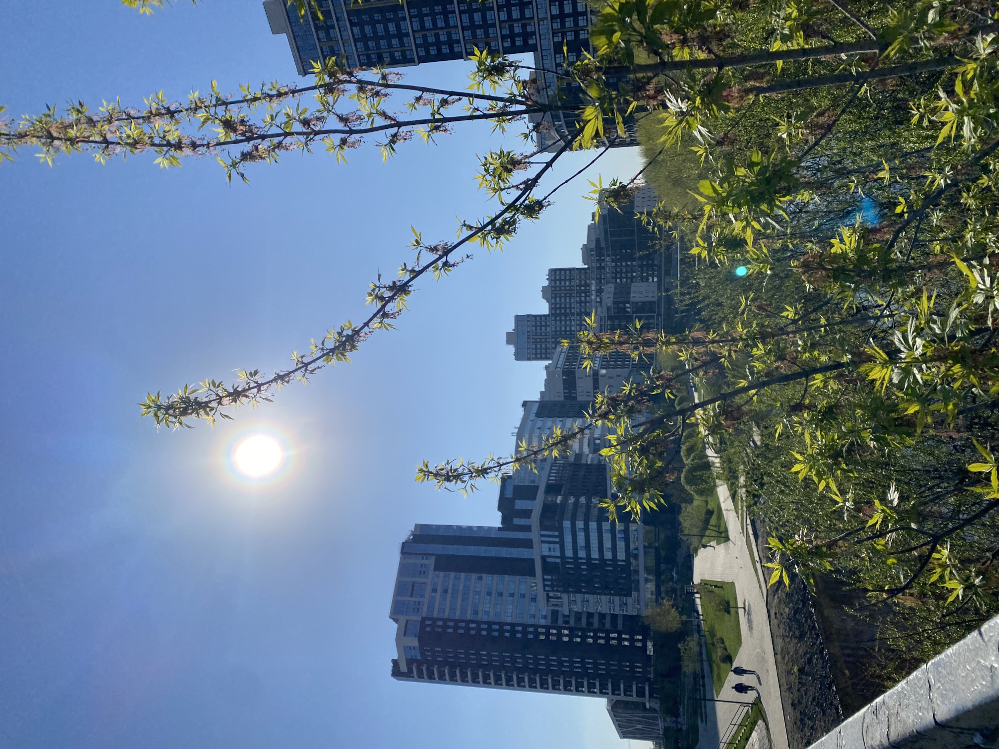 The photograph captures a cityscape in Yekaterinburg, Russia on a clear, sunny day. The sun is positioned high in the sky on the left side of the frame, partially obscured by branches of a tree. The tree branches, bearing small green leaves and nascent blossoms, extend across the top of the image. In the background, several modern high-rise buildings, predominantly in shades of gray and black, dominate the skyline. Below the buildings, a tree-lined path runs along a riverbank. Two individuals walk along the path. The scene is viewed from an elevated position, with a railing visible in the foreground.