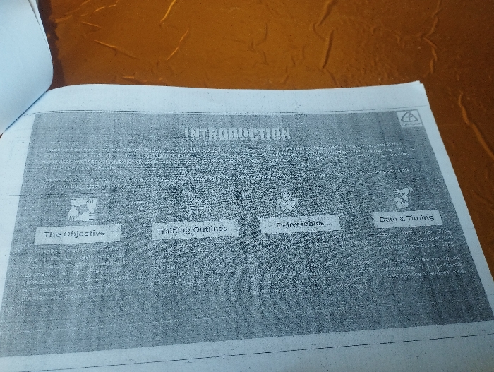 The image is a grainy photo of a page from a training manual. The page has the heading "Introduction." The manual appears to be related to a training program. There are four sections, "The Objective," "Training Outline," "Deliverables," and "Date & Timing." The location is Ashaka, Nigeria, at the coordinates provided (10.917 latitude, 11.476 longitude). There are no people, actions, or interactions depicted.