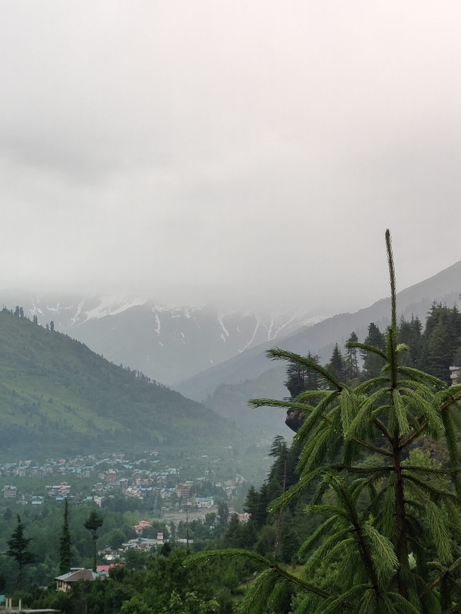 A wide shot captures a cloudy, overcast day in the mountainous region of Vashisht, India. In the foreground, a close-up of a coniferous tree with dark green needles dominates the right side of the frame. Beyond the tree, the mid-ground reveals a dense valley with a town nestled amongst lush green hills. Buildings in various colors, including red, blue, and white, are visible, clustered together. The background features a panoramic view of majestic mountains, their peaks partially obscured by mist and clouds. Snow-capped summits can be seen in the distance, creating a layered effect of receding mountains. The overall scene is one of a serene, natural landscape with a human settlement integrated into its environment.