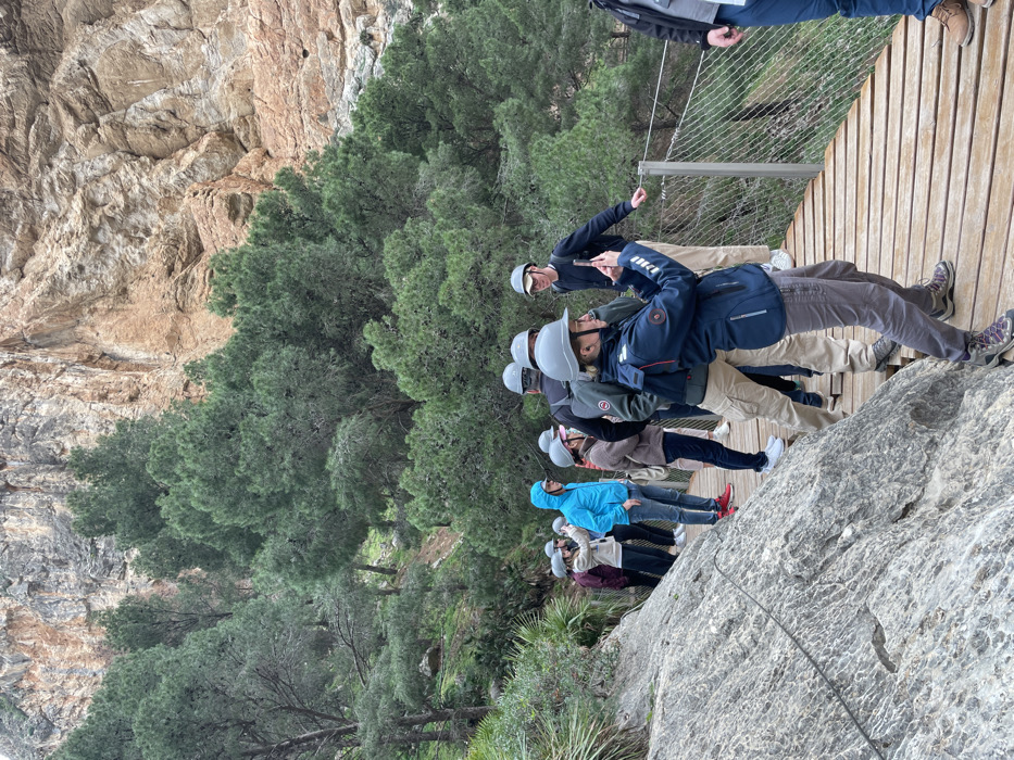 A group of approximately eight to ten individuals is shown traversing a wooden walkway integrated into a rugged cliff face, likely at the Caminito del Rey in El Chorro, Spain. Most people are wearing light-colored safety helmets and various casual outdoor jackets in shades of blue, black, beige, and purple, indicating an outdoor activity or guided tour.
The scene features a prominent wooden pathway with slats, securely attached to a steep, textured rock wall on the left side of the image. A metal safety netting or fence lines the outer edge of the walkway. Below the path, a dense forest of green evergreen trees fills the lower part of the valley. In the foreground, a section of gray rock with a visible metal cable or wire adds to the rugged environment.
The group is engaged in walking along this elevated, suspended path. Some individuals are looking forward, while others are observing the scenic surroundings. One person near the front, wearing a black jacket, is holding a smartphone, possibly taking a photograph of the views.
The lighting is diffuse, suggesting an overcast day or the path being in a shaded canyon, with no direct sunlight casting harsh shadows. The general mood appears to be one of cautious exploration and enjoyment of the unique landscape. No visible text can be identified in the image.