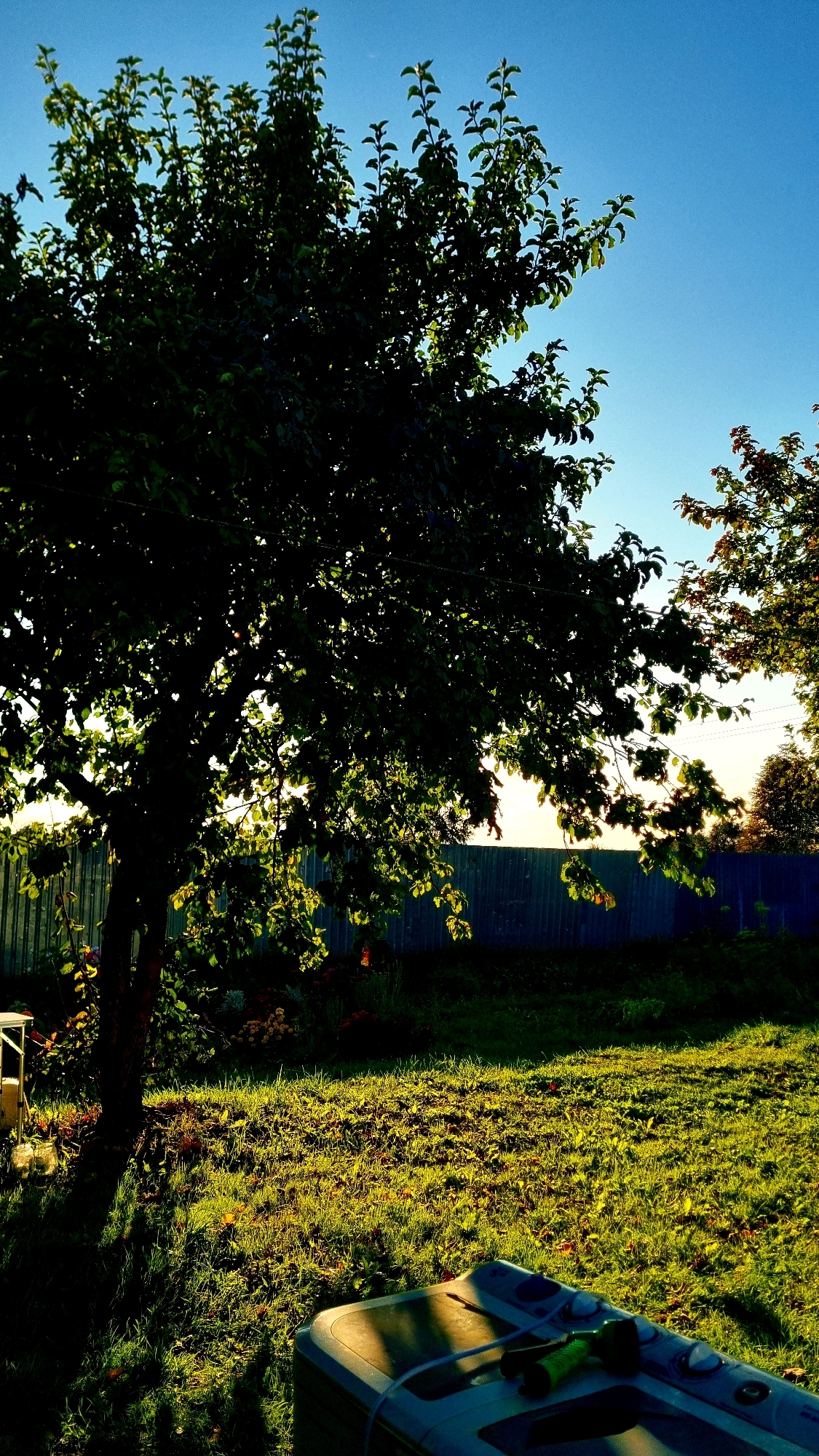 The image depicts a backyard scene in Vysokoe, Russia, under a clear blue sky. A large, dark green tree with abundant foliage dominates the left side of the frame, silhouetted against the bright sky. Sunlight filters through the leaves, casting dappled shadows on the green grass. A blue corrugated metal fence runs horizontally across the middle ground, separating the yard from what appears to be a wooded area beyond. In the foreground, a portion of a gray and white portable washing machine is visible on the right, with a green hose coiled on its surface. The grass is well-maintained and appears to be a typical lawn. The overall impression is of a peaceful, sunlit afternoon in a residential area.