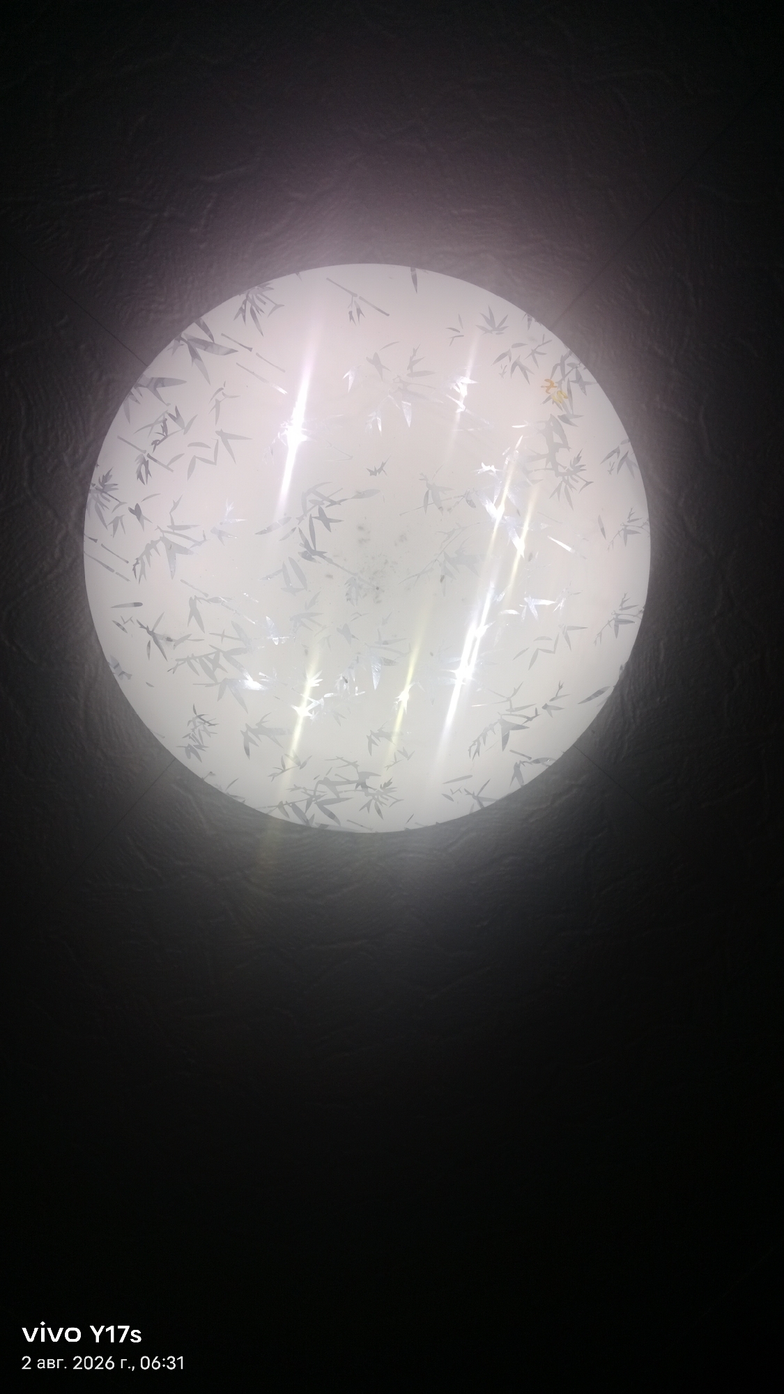 The image shows a circular ceiling light fixture with a frosted glass cover decorated with a bamboo leaf pattern. The light fixture is illuminated and mounted on a textured, dark ceiling. The bottom left corner of the image displays a timestamp that reads "vivo Y17s 2 авг. 2026 г., 06:31". The scene appears to be an indoor setting, possibly a room in a residential or commercial building. There are no people or animals visible in the image. The location of Rudny, Kazakhstan is not directly depicted or indicated in the visual elements of the photograph.