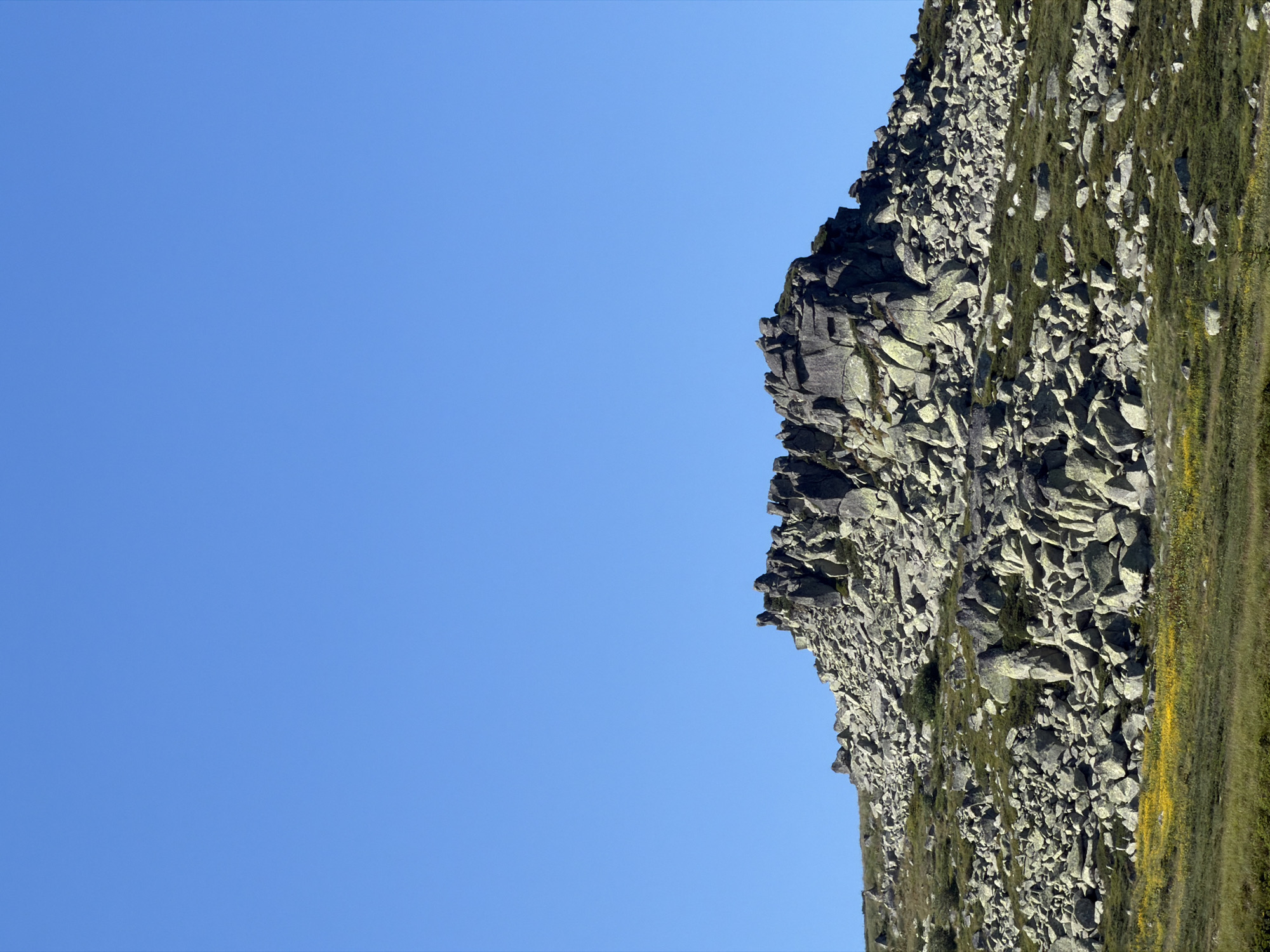 The image depicts a rocky mountainous terrain under a clear, bright blue sky. The foreground shows a grassy slope dotted with scattered rocks and patches of yellow wildflowers. As the view moves upwards, the slope becomes increasingly covered with larger, grey boulders of various sizes, forming a dense, rugged landscape. Towards the top of the image, a prominent rock formation with sharp edges and sheer faces dominates the skyline. There are no people or animals visible in the scene. The environment suggests a high-altitude, possibly alpine, region. This scene is likely located in the Vitosha Mountain range near Bistritsa, Bulgaria, known for its rocky peaks and natural beauty.