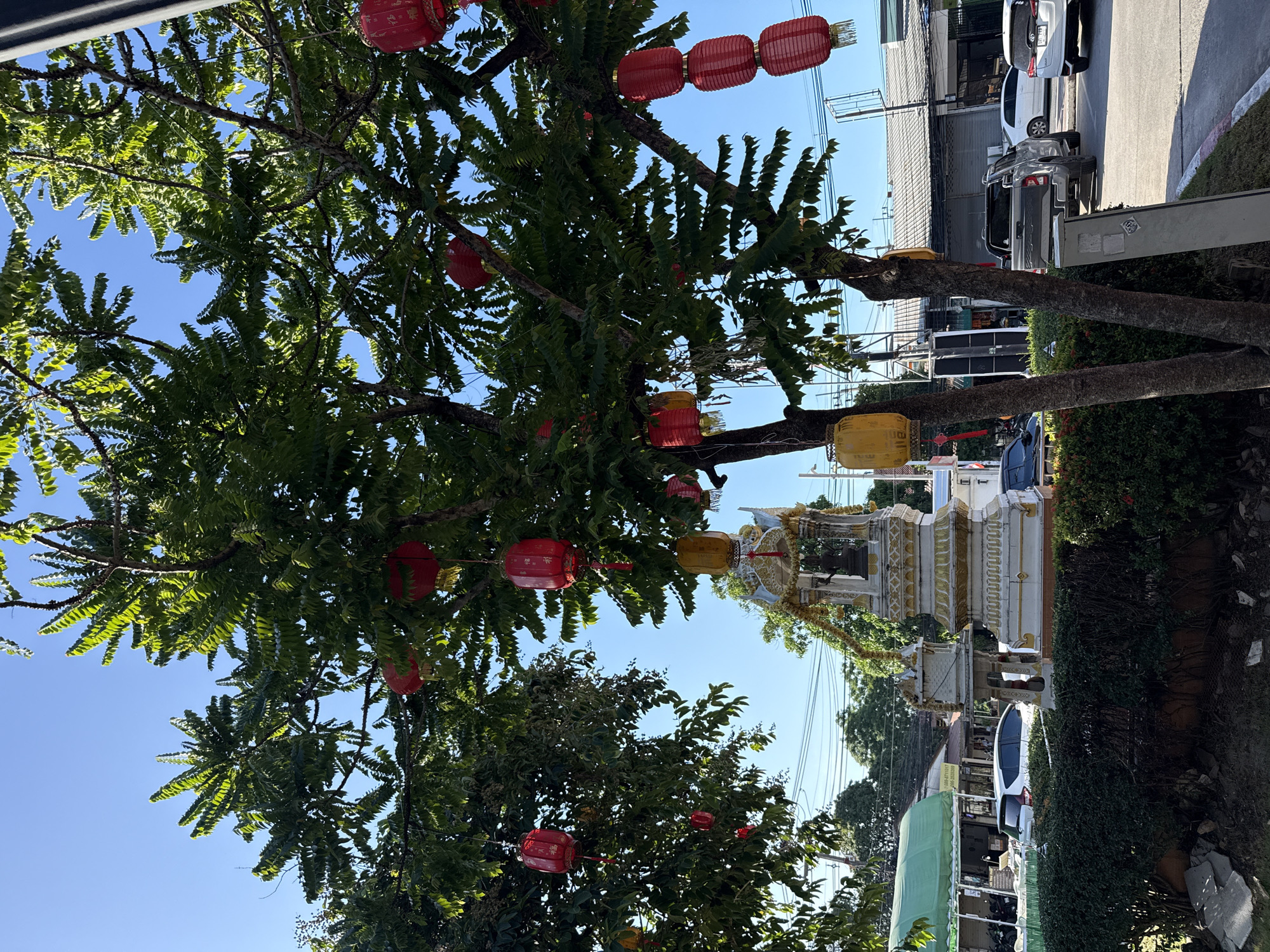 The image captures a vibrant outdoor scene in Ko Samui, Thailand. Dominating the foreground is a lush green tree adorned with several bright red, cylindrical lanterns, suggesting a festive or celebratory occasion, possibly Chinese New Year. The lanterns, strung along branches, add a splash of color against the clear blue sky.
In the background, a white, ornate structure, possibly a spirit house or shrine, is visible, decorated with gold trim and floral garlands, further enhancing the celebratory atmosphere. Beyond this, a street scene unfolds with several parked cars, including a white hatchback and a dark SUV, and commercial buildings with corrugated metal shutters. Overhead power lines are also a prominent feature of the setting. The lighting suggests it is daytime, with bright sunlight casting shadows. The overall impression is one of a lively, possibly tropical, urban environment during a special event. No people are clearly visible in the image, but the presence of the decorations and the shrine implies a community gathering or observance.