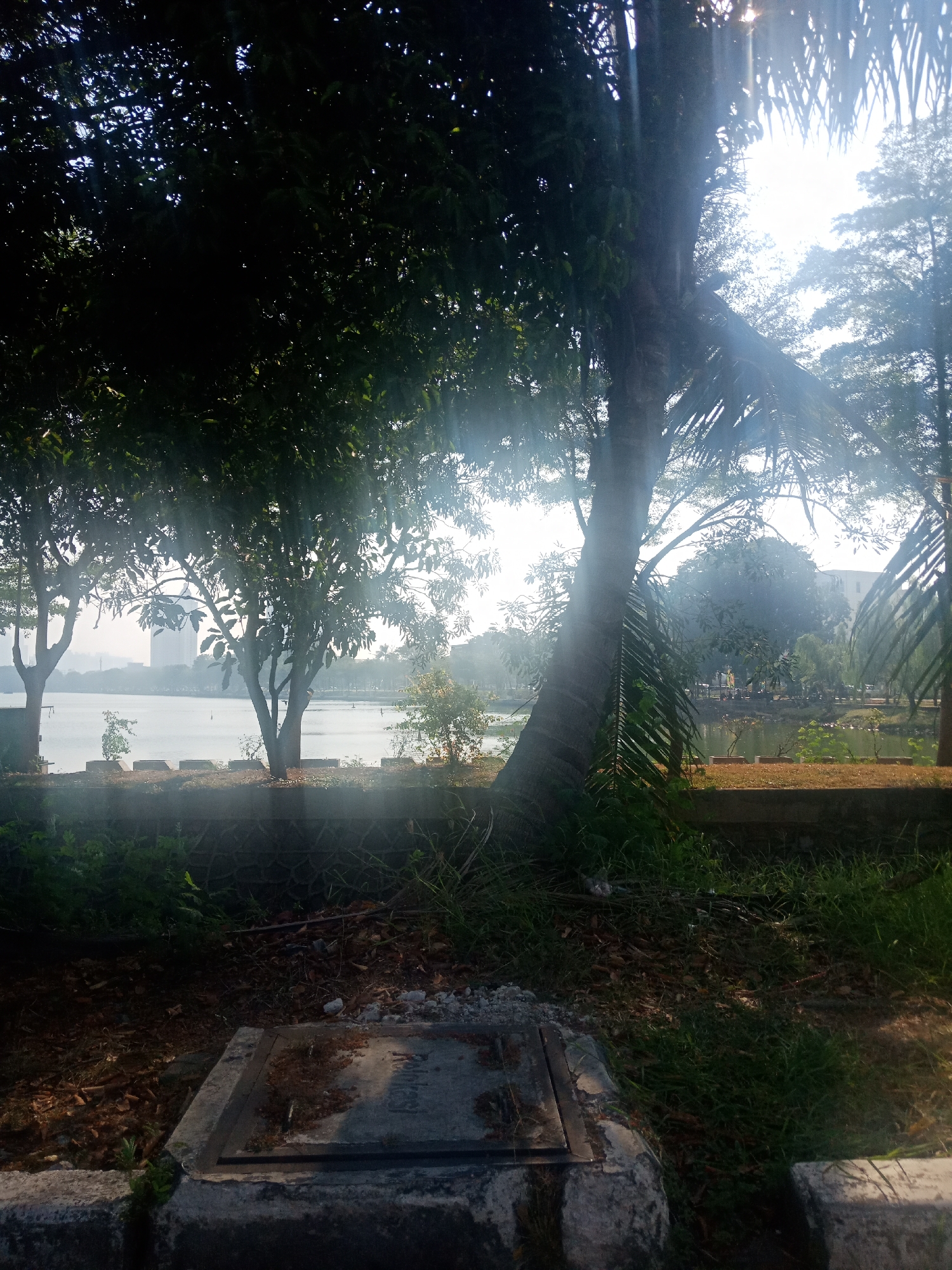 This media file captures a serene park scene near a body of water, likely a lake or river, under the bright morning sun. The sun's rays pierce through the lush green foliage of trees, creating a dramatic interplay of light and shadow that bathes the scene in a warm, ethereal glow. The foreground is dominated by a concrete structure, possibly a manhole cover, amidst dry leaves and overgrown grass, suggesting a slightly unkempt but natural environment.
Behind the foreground, a stone wall marks a boundary, leading to a gentle slope down to the water's edge. Several trees, including a prominent palm tree with its fronds reaching towards the sky, stand tall, their silhouettes softened by the bright light. In the distance, across the water, buildings are visible, hinting at the park's proximity to an urban area. The water itself is calm and reflects the hazy sky, further enhancing the tranquil atmosphere. The presence of scattered buoys or markers in the water indicates it is an area used for recreation or navigation.
The time of day is clearly morning, as indicated by the low angle of the sun and the soft, luminous light. The weather appears to be clear and sunny, with a slight haze contributing to the dreamlike quality of the scene. No people are visible, adding to the sense of peace and solitude. The overall emotion conveyed is one of tranquility and natural beauty, inviting the viewer to pause and appreciate the quiet moments of the day. No visible text is present in the image.