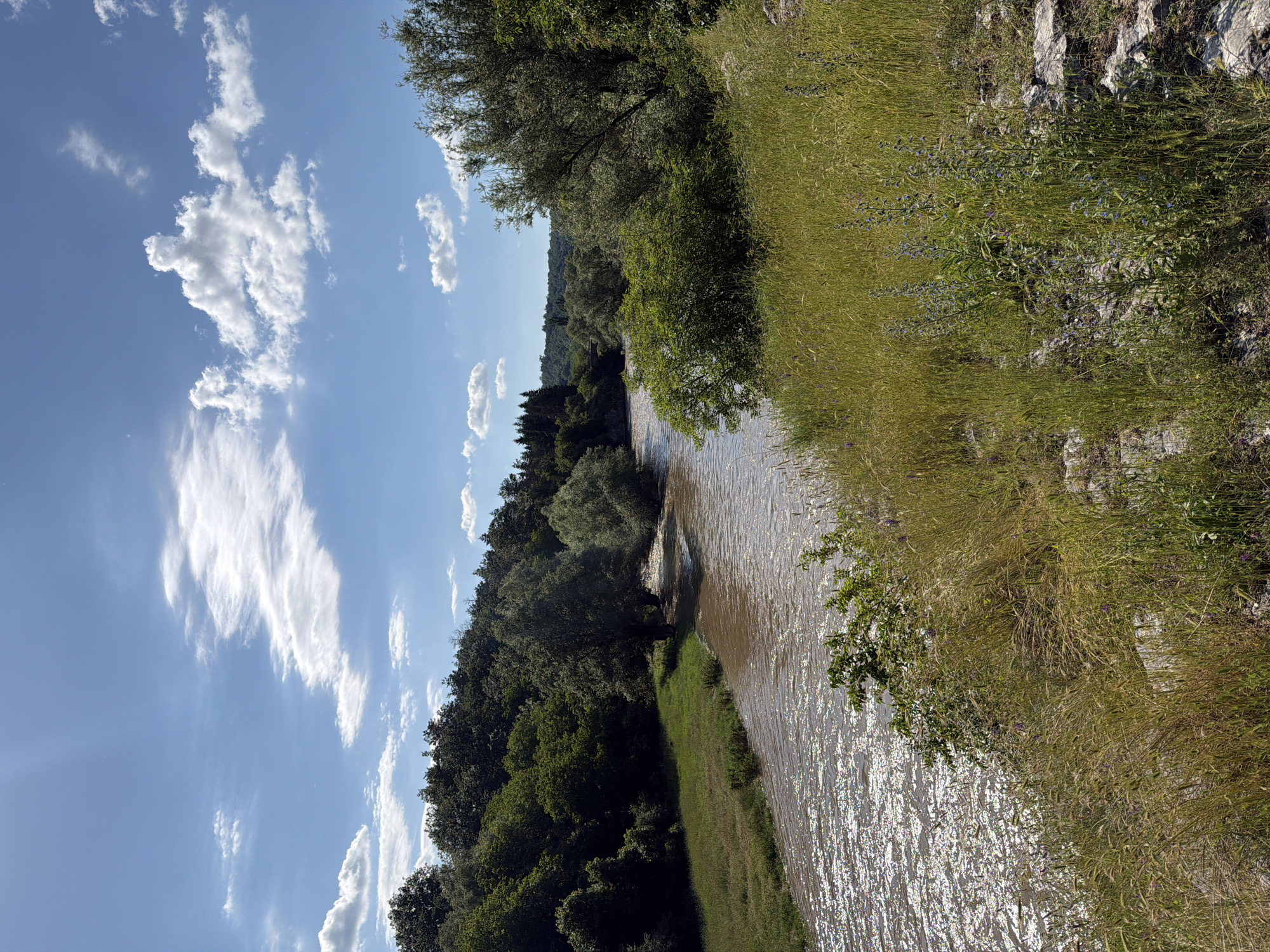 The scene depicts a natural landscape in Aglen, Bulgaria, under a bright, sunny sky with scattered white clouds. A wide, muddy brown river flows from the background towards the midground, its surface shimmering intensely with reflected sunlight.
On the left bank, a strip of vibrant green grass borders the water, transitioning into a dense, dark green deciduous forest that covers a sloping hill. Several trees, including some with lighter green foliage, are partially submerged or very close to the water's edge on this side.
The right bank, in the immediate foreground, features tall, dry, yellowish-green grasses intermingled with scattered purple wildflowers and exposed light-colored rocks. Beyond this, bushy green foliage leads to a denser collection of trees, some with light green leaves and others part of a darker, more extensive forest that recedes into the background. A dark, indistinct structure, possibly a bridge, is barely visible through the trees in the far-right distance along the river.
The sky is a clear blue, featuring wispy cirrus clouds stretching horizontally across the upper right and several distinct cumulus clouds in the central and lower left portions. A subtle sun flare is present in the upper left quadrant of the sky. No people, animals, or explicit actions are visible within the frame.