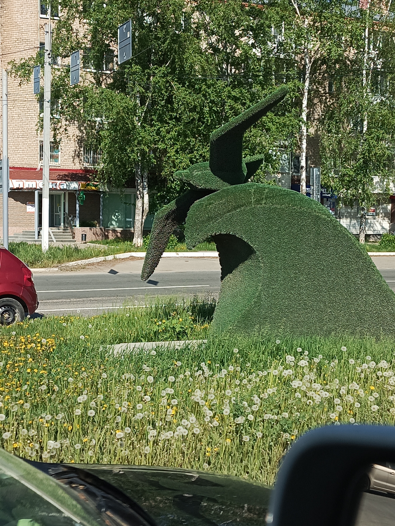 The image depicts a green topiary sculpture in the shape of a bird with outstretched wings, located in a median of a street in the city of Chaikovsky, Russia. The sculpture sits among dandelions and green grass. A red car is partially visible on the left side of the street. Across the street, a brick building with a store named "Аптека" in Russian, is visible. Trees line the street, including birch trees. A traffic light pole is on the left side. The image appears to be taken from inside a car, based on the partially visible side mirror and dashboard.