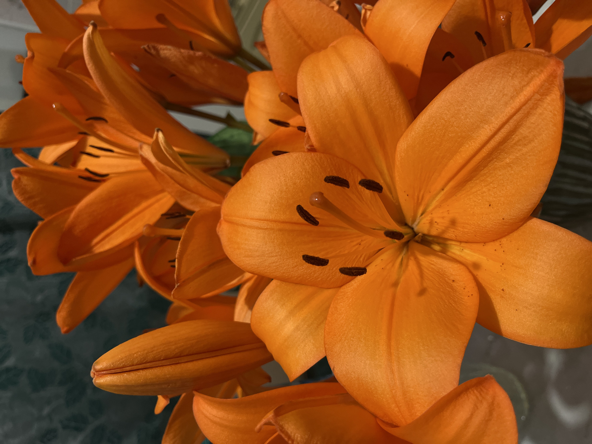 This is a close-up, eye-level, outdoor shot of a bouquet of bright orange lilies. The flowers are in focus, with some in full bloom and others still in bud. The background is blurred, showing a hint of a patterned surface and a vase. The lighting is bright, highlighting the vibrant color of the lilies. There are no people or animals visible in the image. The location in Rozhdestveno, Russia is not discernible from the image itself.