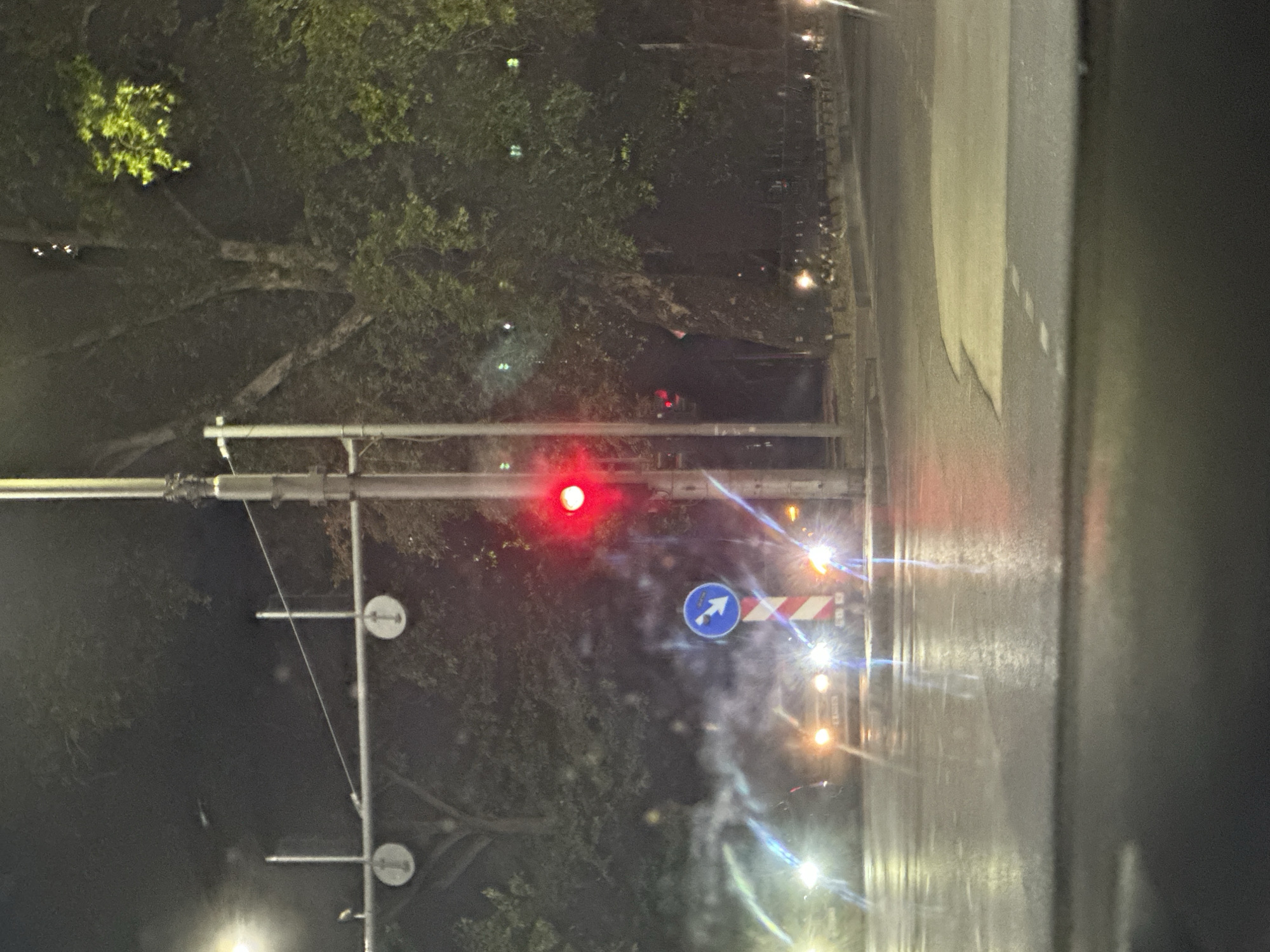 The image shows a nighttime street scene in Plovdiv, Bulgaria, likely near a traffic intersection. A red traffic light is illuminated, indicating a stop. Cars are visible, with their headlights on, suggesting they are waiting or moving slowly on a wet or reflective road surface. A traffic sign with a blue circle and a white arrow pointing left is present. Trees and streetlights form the background, with the overall atmosphere suggesting a typical urban night. The perspective appears to be from inside a vehicle.