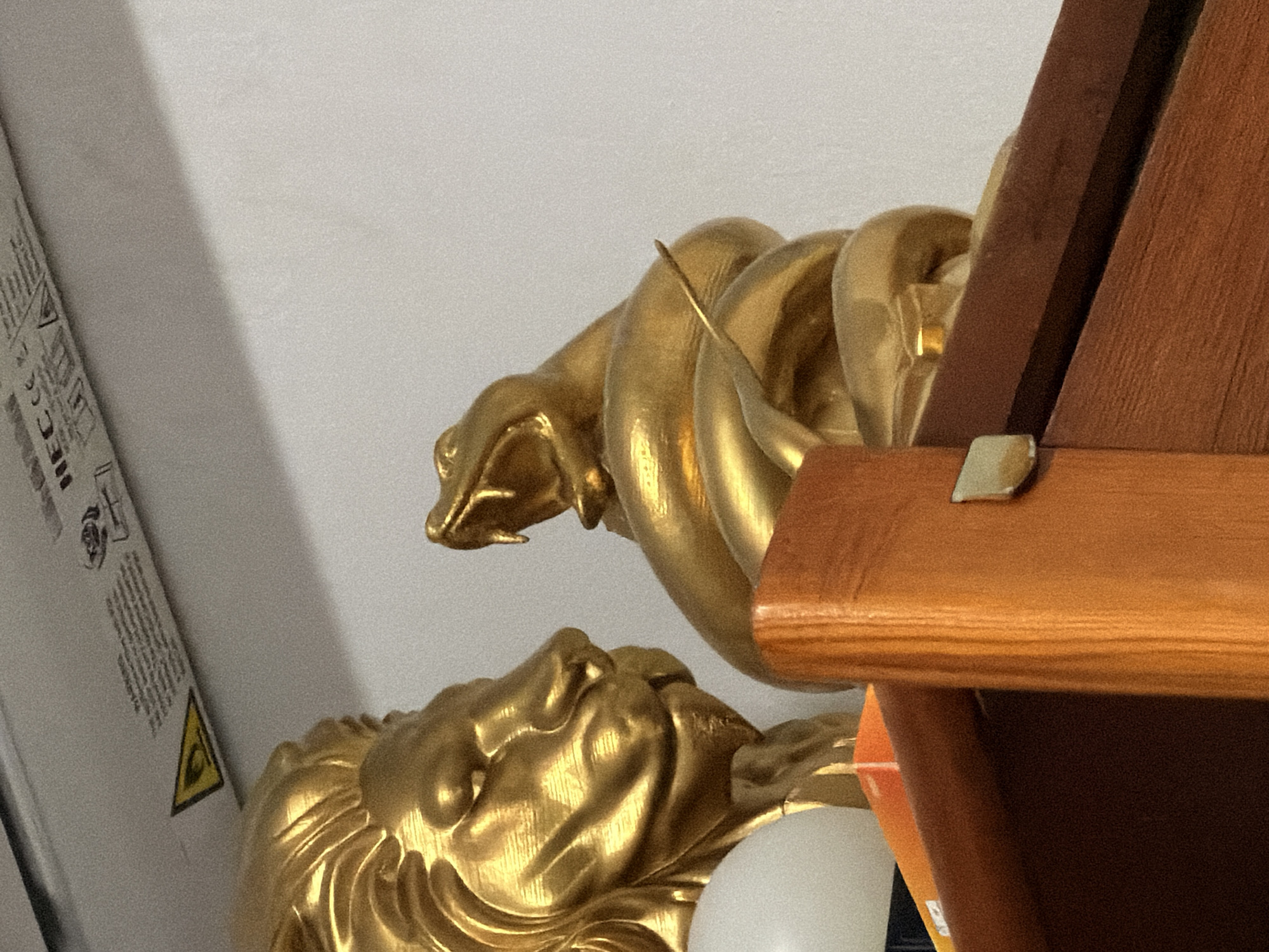 The image is a close-up, eye-level shot of two golden statues, a lion's head on the left and a coiled snake with its mouth open on the right. The statues are positioned on a wooden shelf. The background is a plain, off-white wall. Above the shelf, a part of what appears to be a printed label or device with warning symbols and text is visible. The statues are detailed and appear to be made of a metallic material with a reflective, glossy finish. The lion statue's head is facing towards the right, and its mane is prominent. The snake is coiled around itself, and its head is raised and directed towards the lion's head, with its fangs visible. There is a light source that creates strong highlights and shadows on the statues, emphasizing their form. The shelf is made of wood with a reddish-brown hue and shows some wear. The overall impression is that of decorative items displayed on a shelf in an indoor setting. No specific location within Torremolinos, Spain, can be determined from the image.