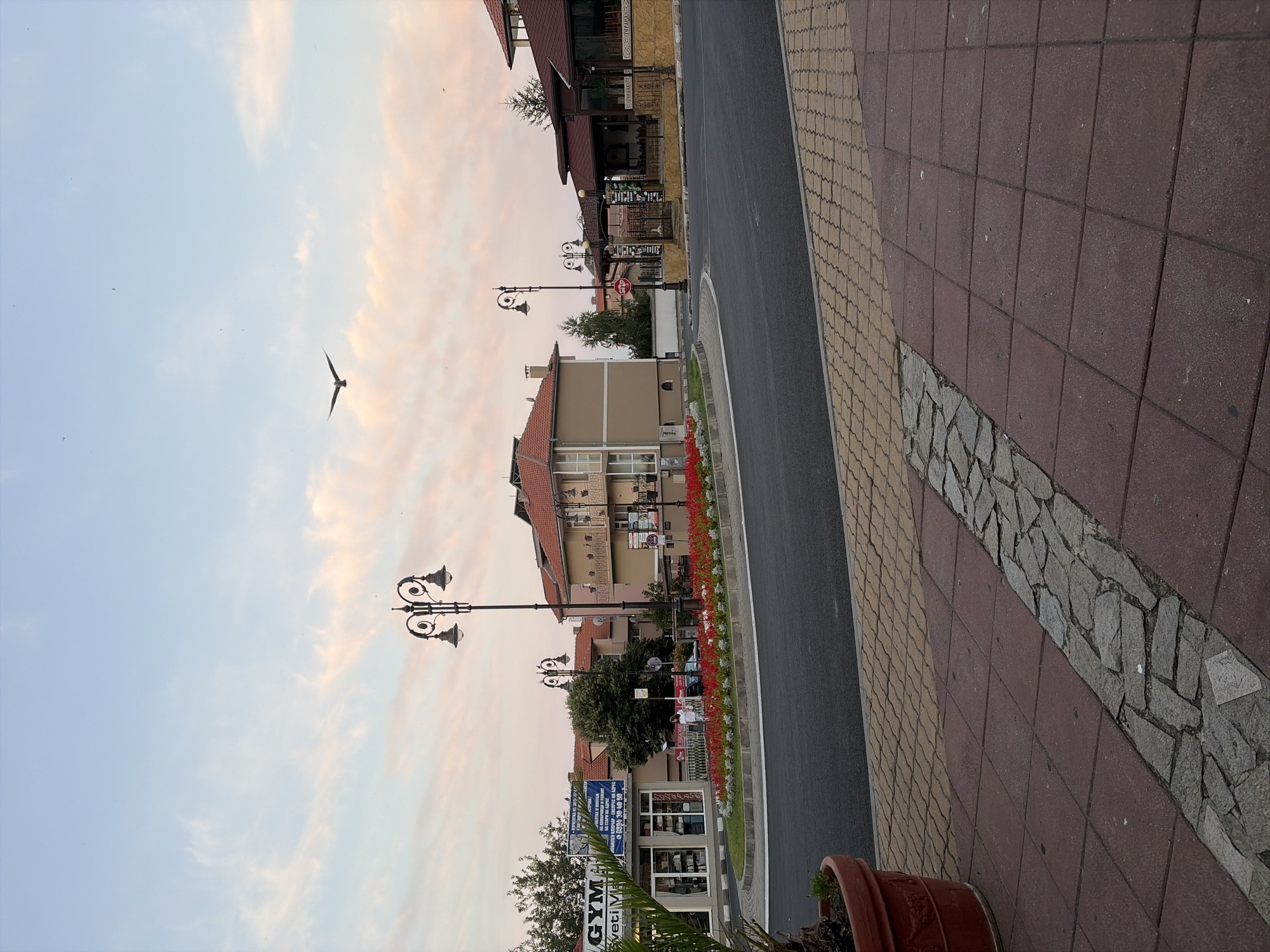 The image depicts a street scene in Sveti Vlas, Bulgaria, under a pale pink and blue sky at dusk. In the foreground, a paved walkway made of reddish-brown square tiles transitions to a lighter, interlocking yellow pattern. A portion of a large, reddish-brown planter with a small green plant is visible on the far left.
The street itself is asphalt, curving to the right. A circular flower bed, overflowing with red and white flowers, is situated in the center of the road. Several ornate black lampposts with multiple lights are positioned around the flower bed and along the street.
Buildings line the street. On the left, a storefront with "GYM" visible on a blue sign is present. Next to it, another building displays text in what appears to be Cyrillic. Further back, a multi-story building with a terracotta-tiled roof and beige walls is visible. On the right side of the street, another building with a similar roof and light-colored stone facade houses an establishment with outdoor seating, suggesting a restaurant or cafe.
A bird is captured mid-flight against the soft hues of the sky. Two individuals, dressed in casual attire, are walking near the flower bed. A stop sign is prominently displayed on a lamppost near the right side of the image. The overall impression is a quiet, pleasant evening in a coastal Bulgarian town.