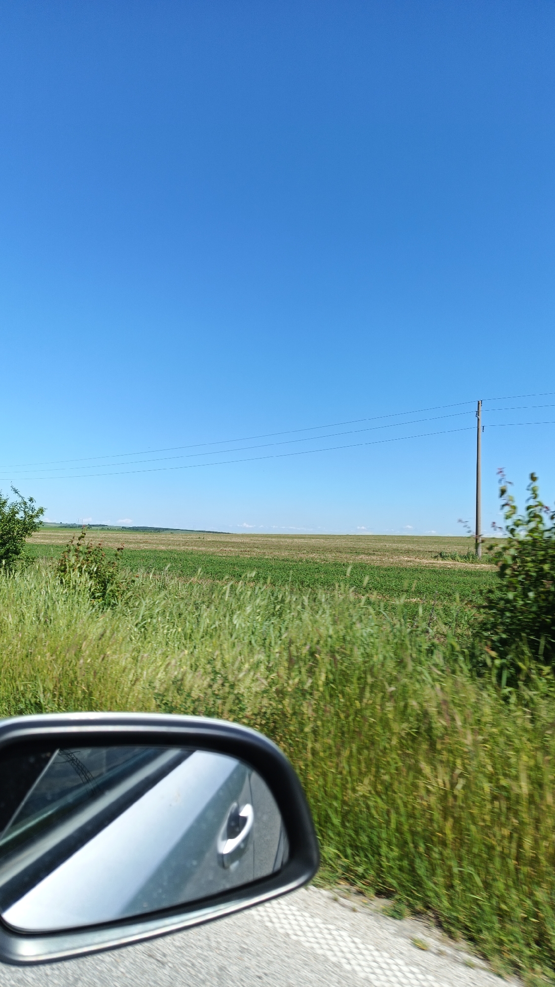The image depicts a rural landscape near Bogdanitsa, Bulgaria, taken from within a moving vehicle. The foreground features a side mirror of the vehicle and a grassy roadside. Beyond the roadside is a field of mixed green and brown crops, possibly agricultural fields. A utility pole with power lines stretches across the horizon. The sky is clear and blue. No people or animals are visible.