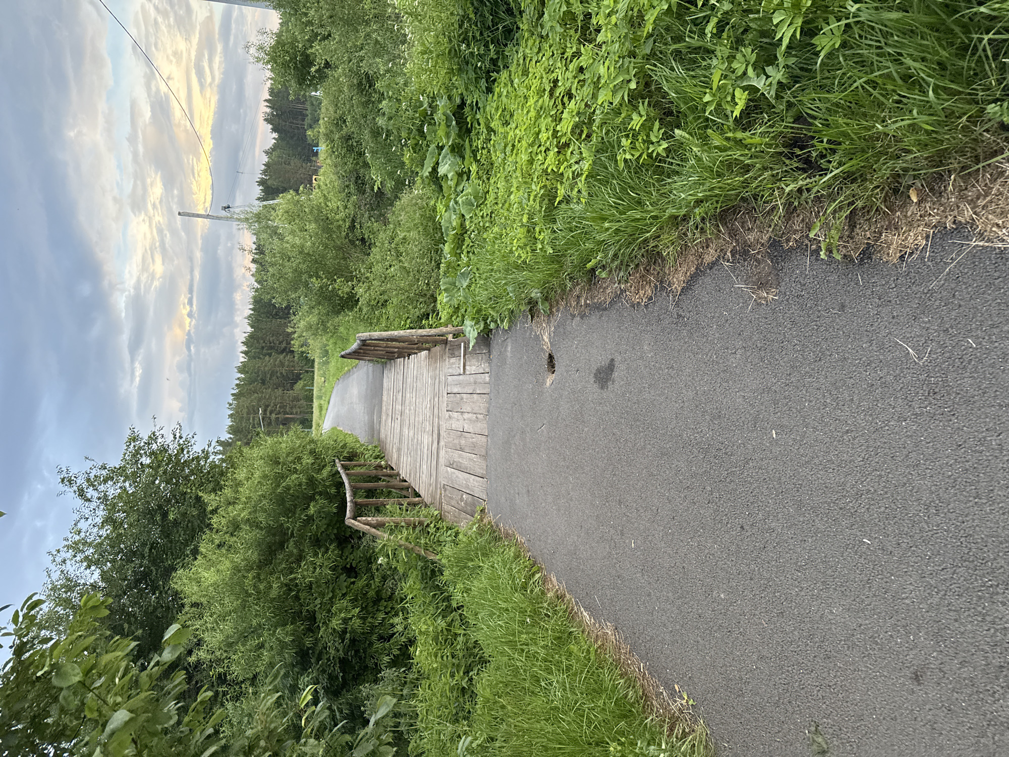 A paved path curves to the left, bordered by lush green grass and dense foliage. A wooden footbridge with simple wooden railings crosses the path at an angle. The scene is set in a natural, outdoor environment with trees and vegetation. In the distance, a forest lines the horizon, and a utility pole with wires is visible against a cloudy sky. The sky shows soft, warm tones of yellow and grey, suggesting it is either sunrise or sunset. The overall mood is peaceful and serene. The image is taken from a slightly elevated perspective, looking down onto the path and bridge. There is no visible text in the image. The location is identified as Syrostan, Russia.