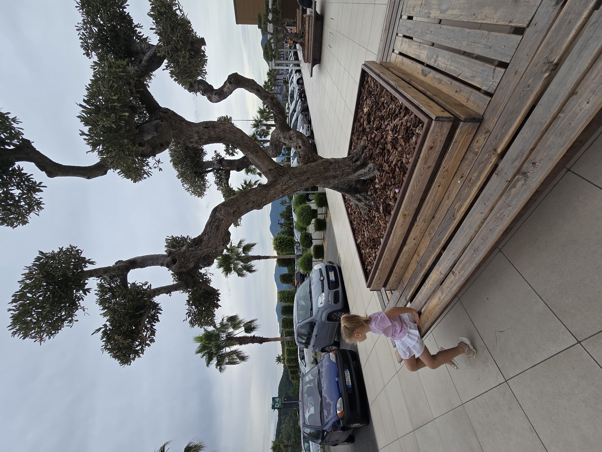 A young girl with blonde hair, wearing a pink shirt and white skirt, sits on a wooden bench in what appears to be an outdoor seating area in Fisciano, Italy. She is positioned facing left, with her legs crossed and her feet resting on the ground. To her right, a large, gnarled tree is planted in a wooden planter box filled with mulch. The bench is made of weathered wood and extends to the right, towards another similar planter with a smaller tree.
In the background, a parking lot is visible with several cars, including a dark blue Fiat and a grey Fiat Panda. Palm trees and manicured bushes are scattered throughout the area. Beyond the parking lot, a line of hills and mountains can be seen under a cloudy sky. The ground is paved with square tiles. The overall impression is a public outdoor space, possibly a shopping center or a recreational area, given the parking lot and the landscaping.